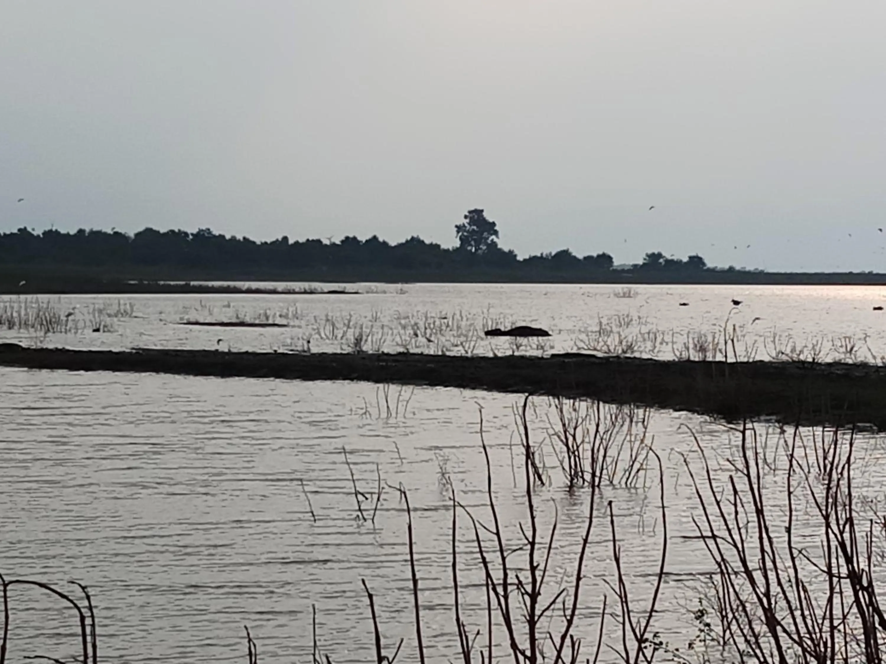Lake view in Cassia Udawalawe