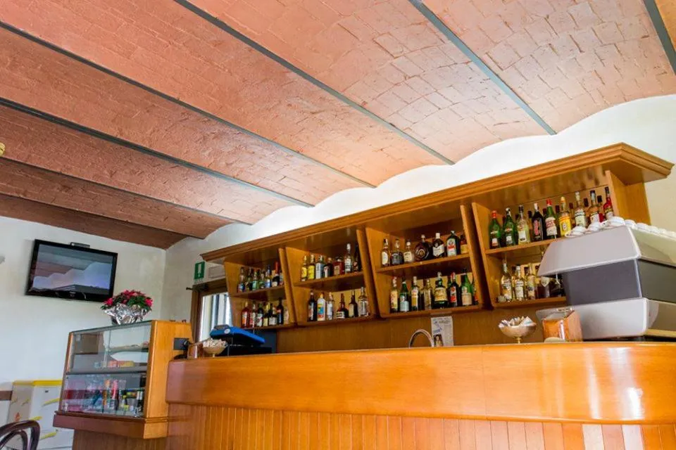 Lounge or bar in Hotel Fattori