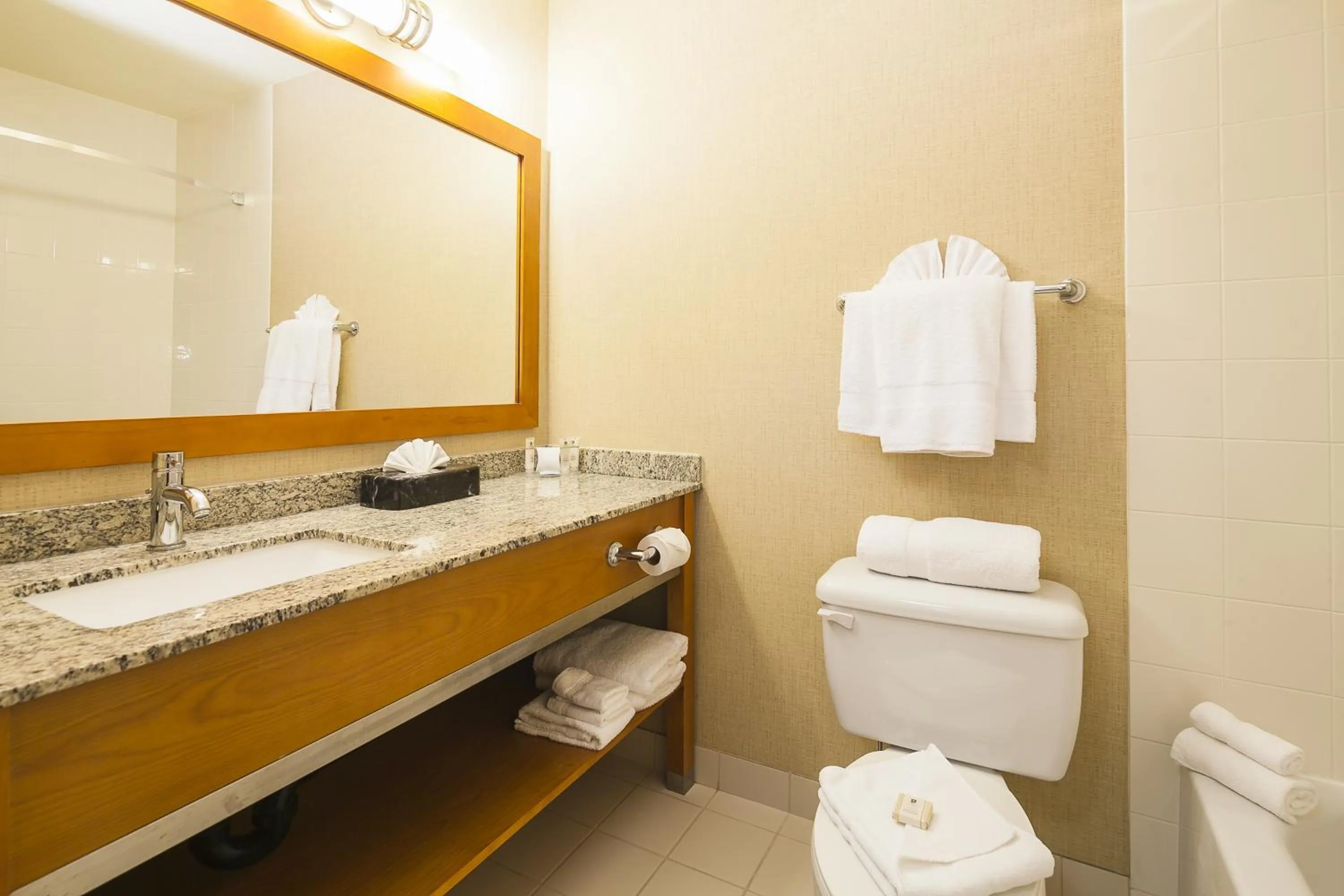 Toilet in Mountain Retreat