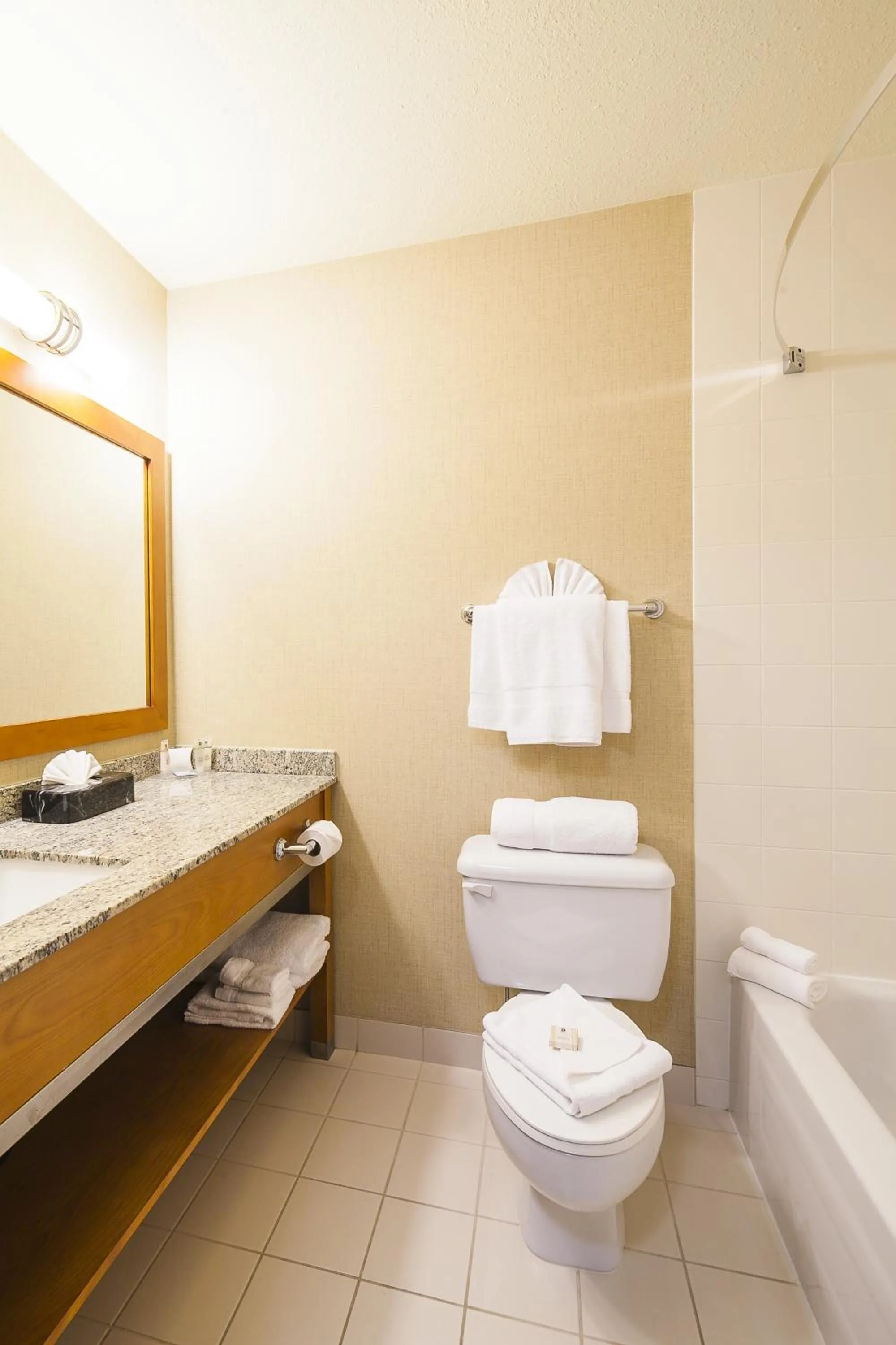 Toilet in Mountain Retreat