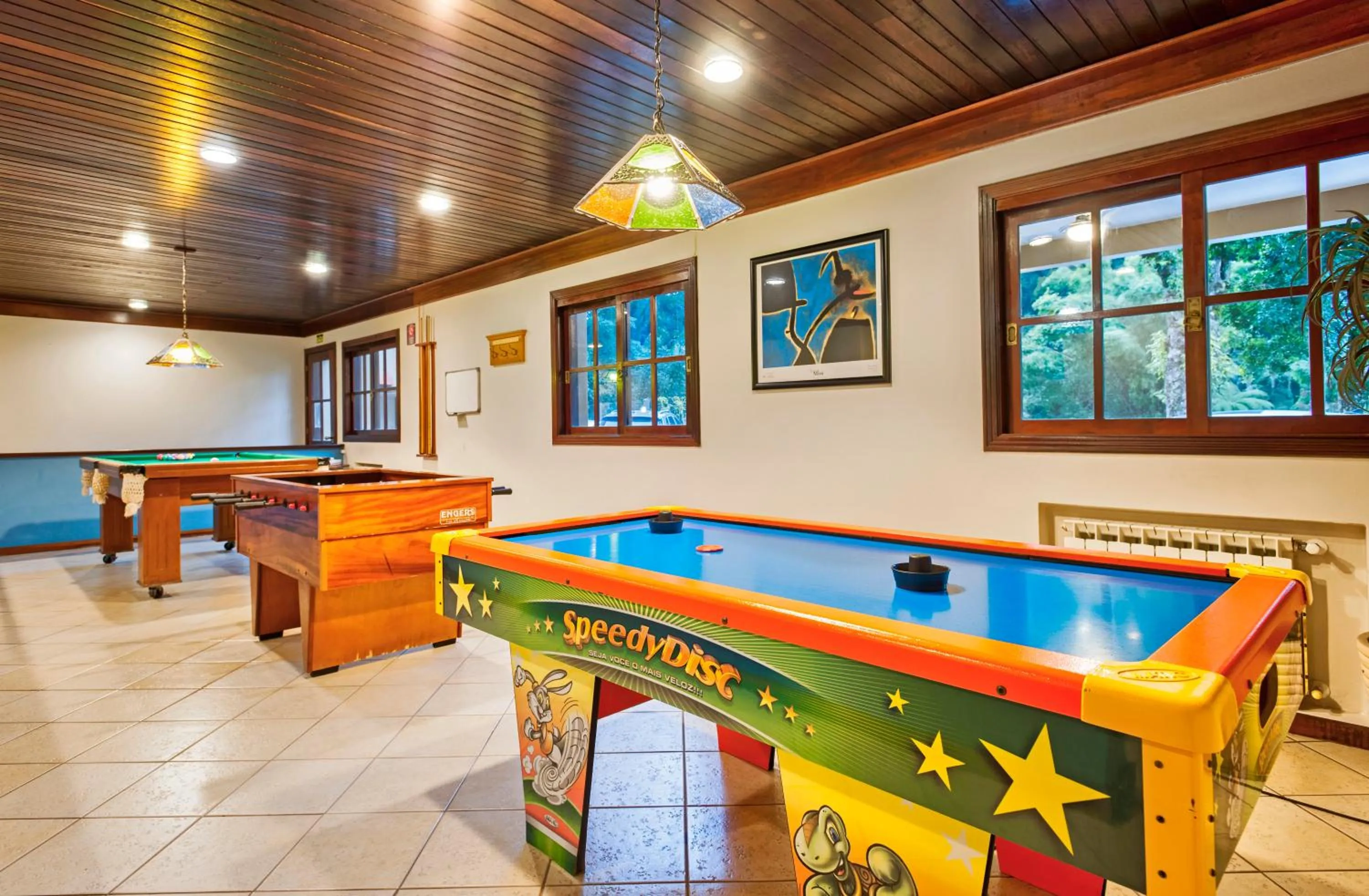 Game Room in Hotel Recanto da Serra