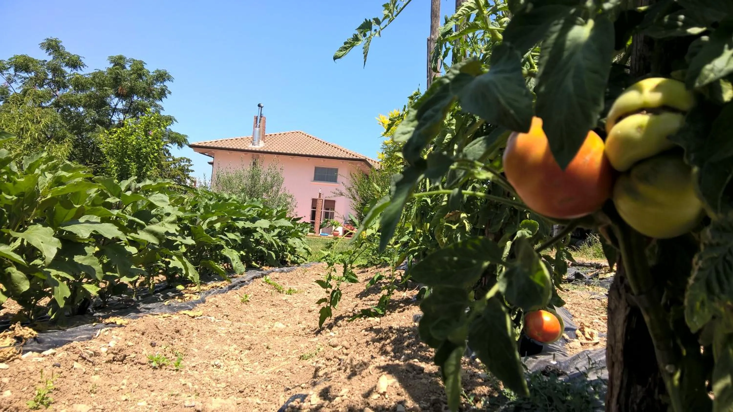 Garden in B&B Macchia d'Olmo
