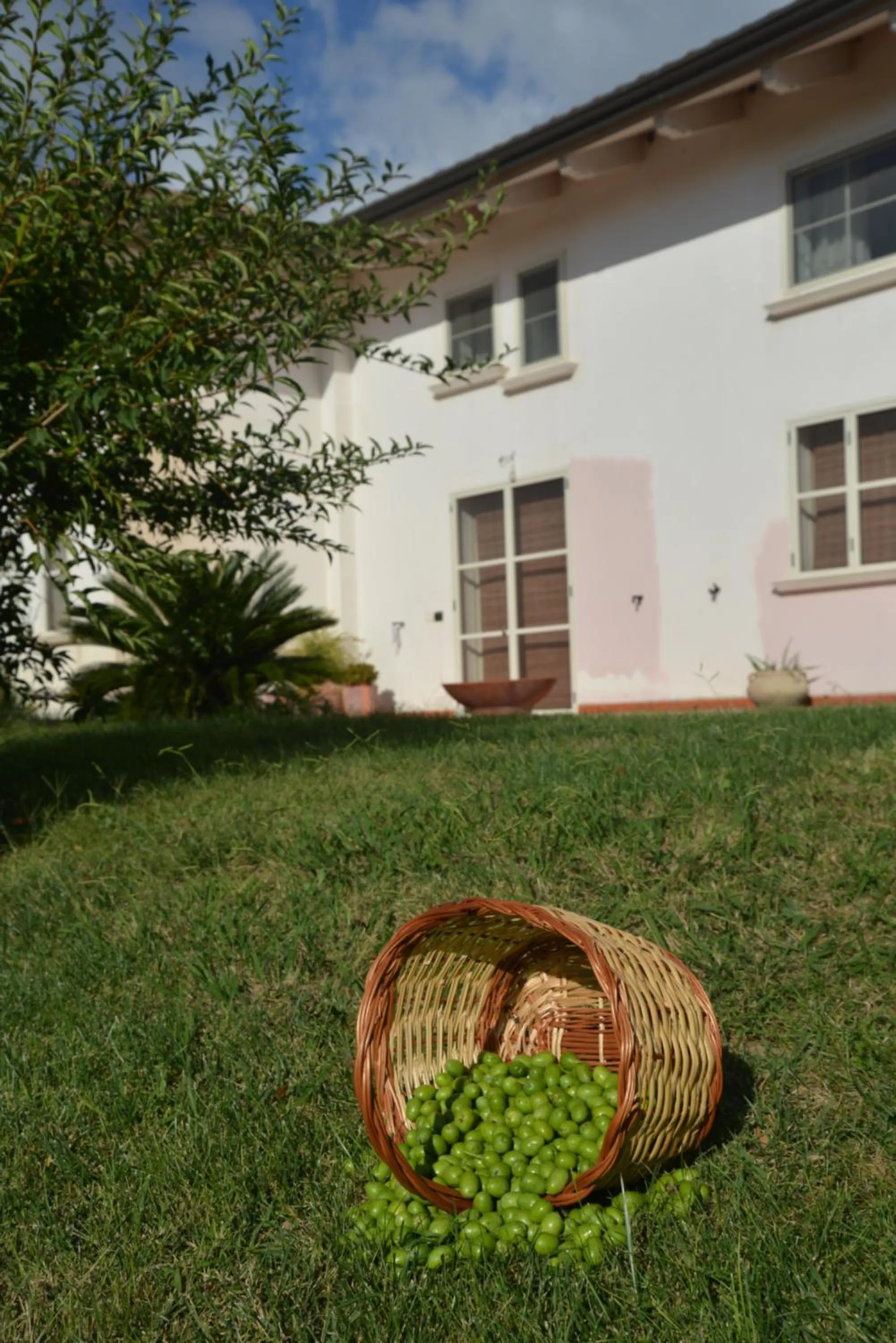 Garden in B&B Macchia d'Olmo