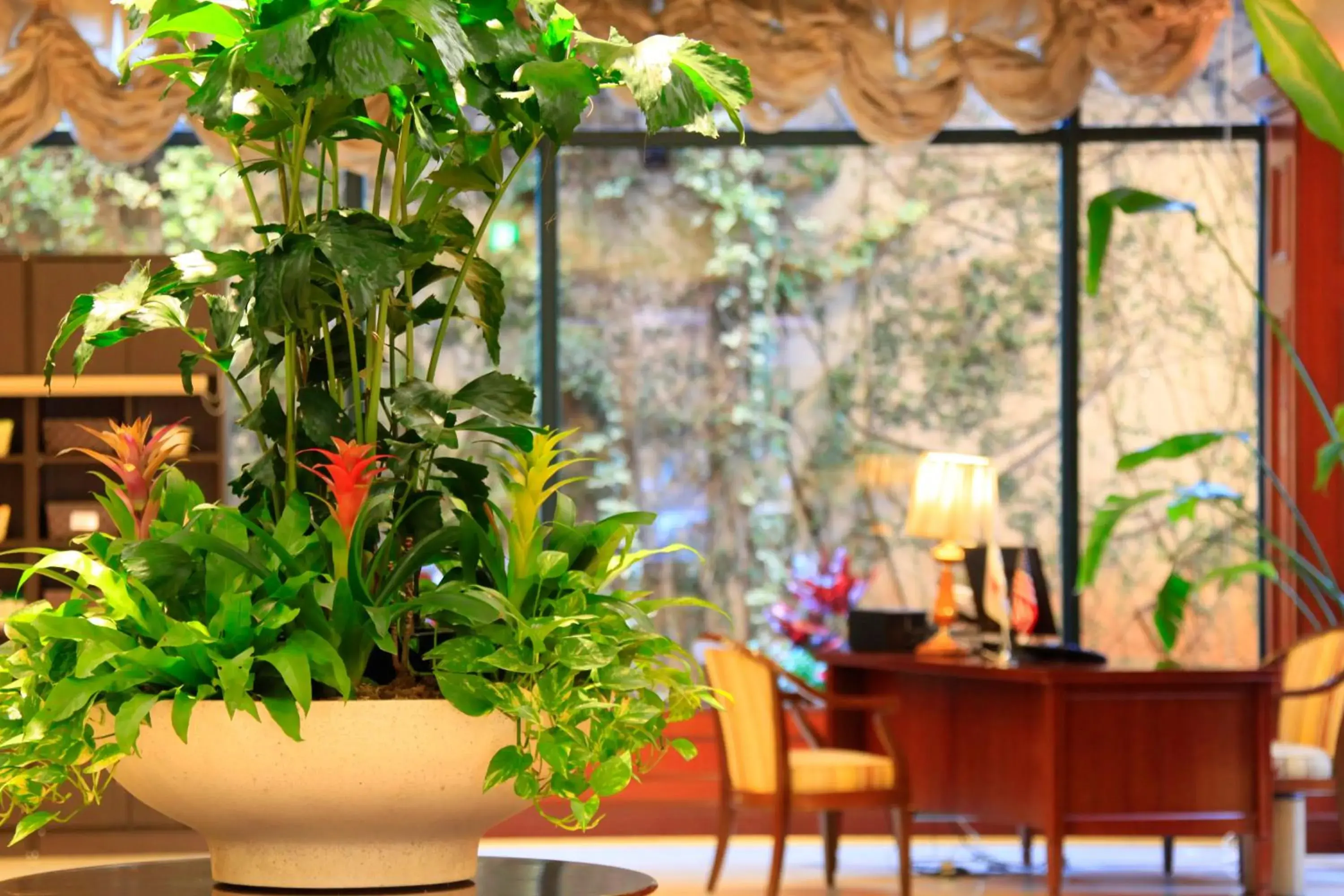 Double Room - Non-Smoking - Top Floor in Quintessa Hotel Sasebo Double Room - Non-Smoking - Top Floor in Quintessa Hotel Sasebo