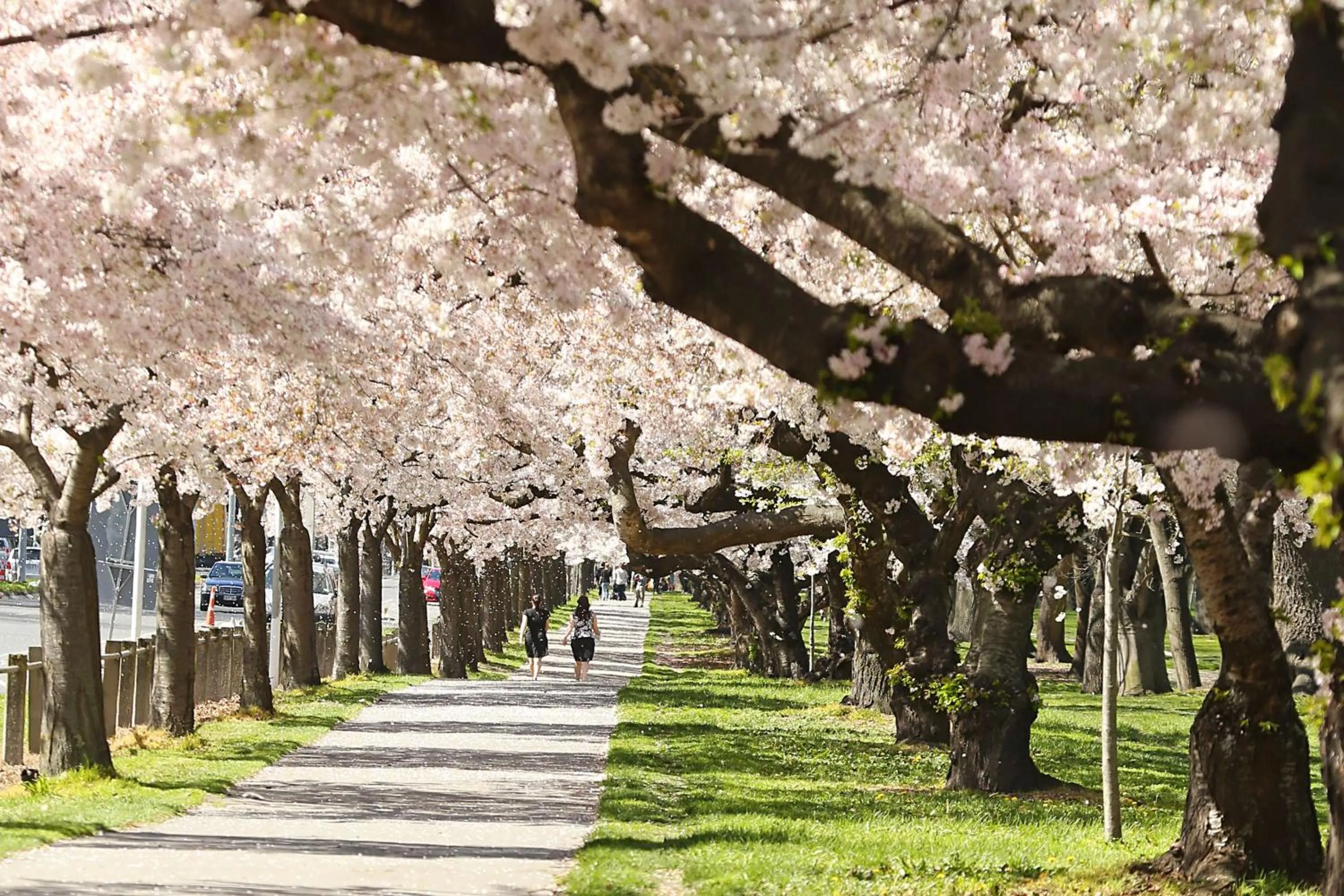 Sports in Chateau On The Park - Christchurch, A Doubletree By Hilton