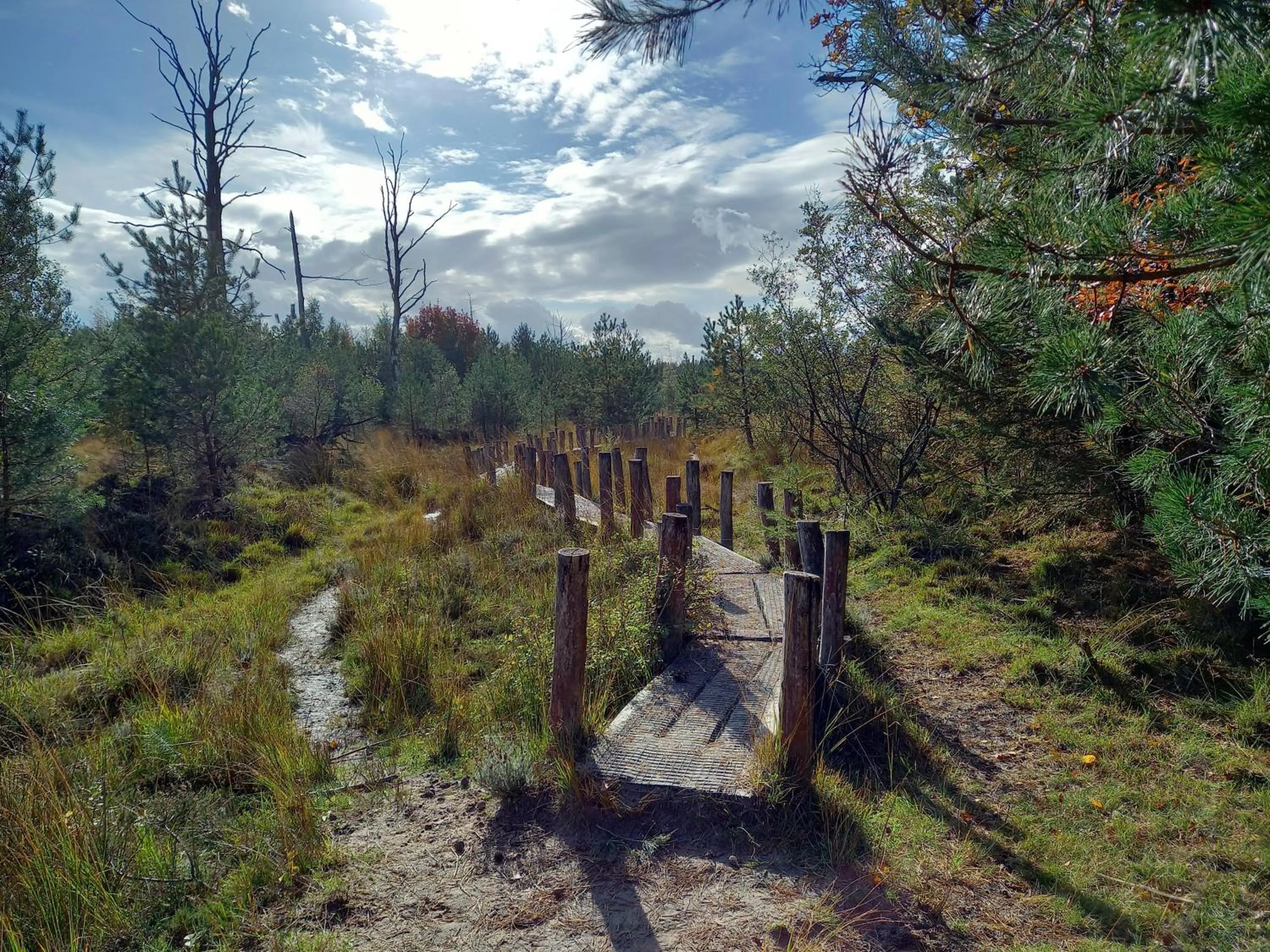 Area and facilities in Roing B&B