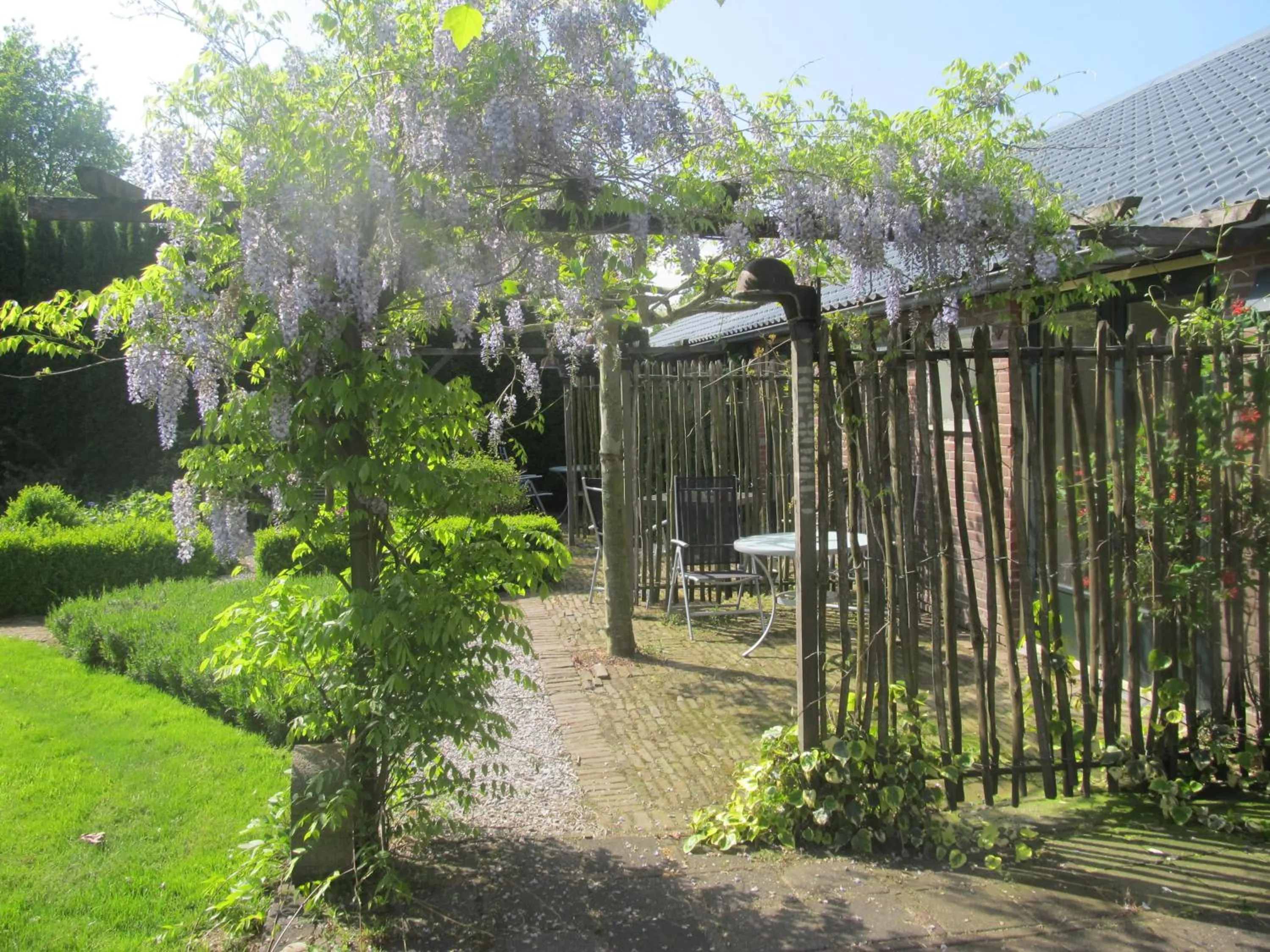 Balcony/Terrace in Roing B&B