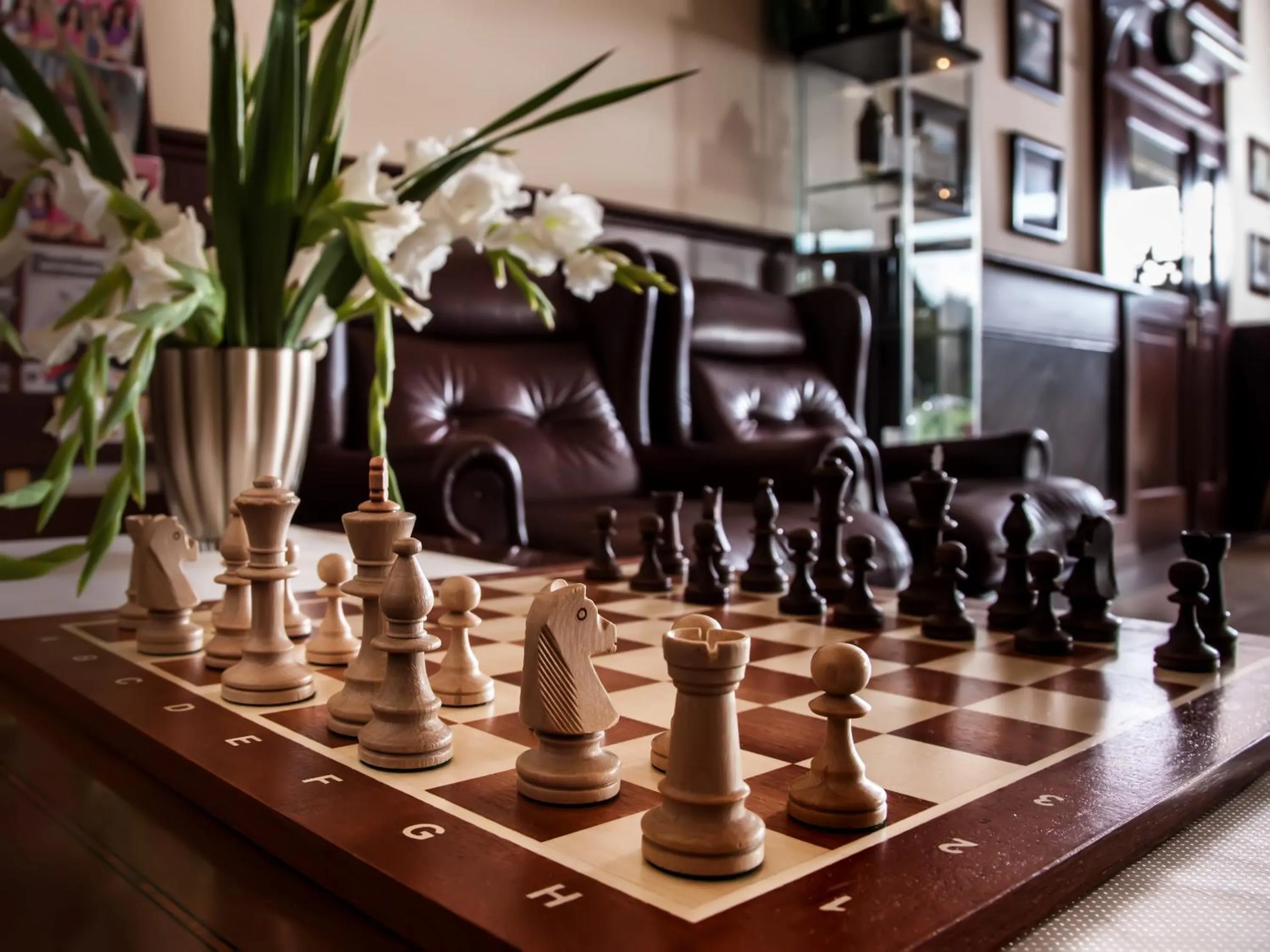 Activities in Hotel Cristal Park