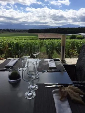 Restaurant/places to eat in Auberge de Duillier