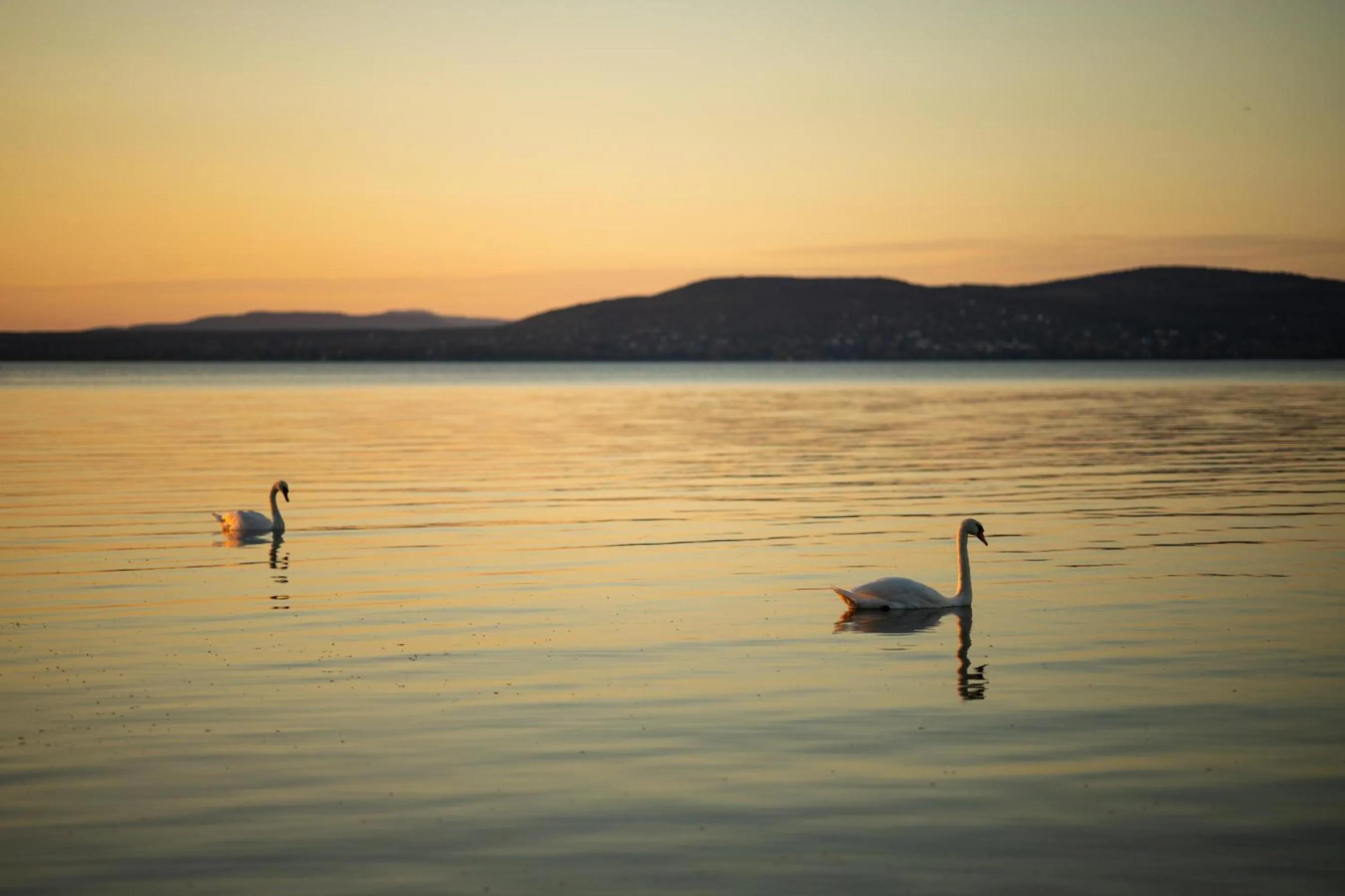 Beach in Partvilla Balatonboglar