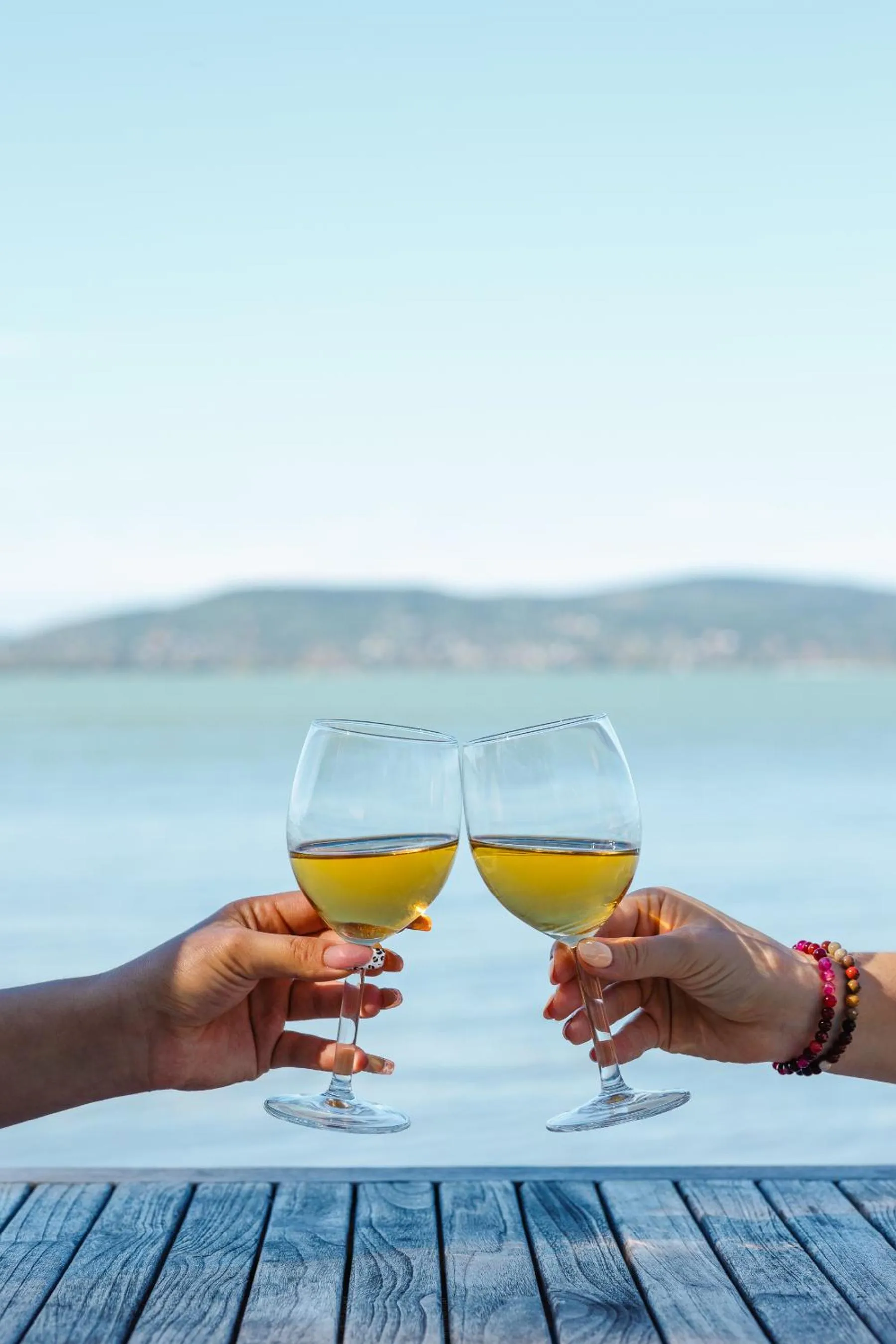 View (from property/room) in Partvilla Balatonboglar