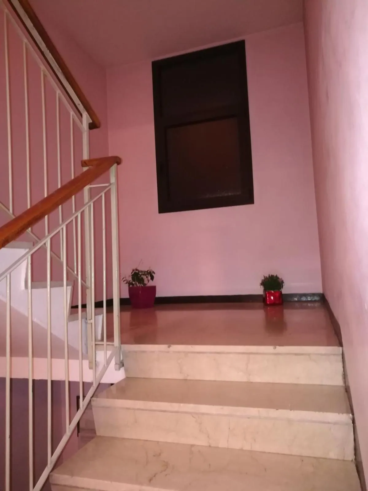 Area and facilities in Venice Park House