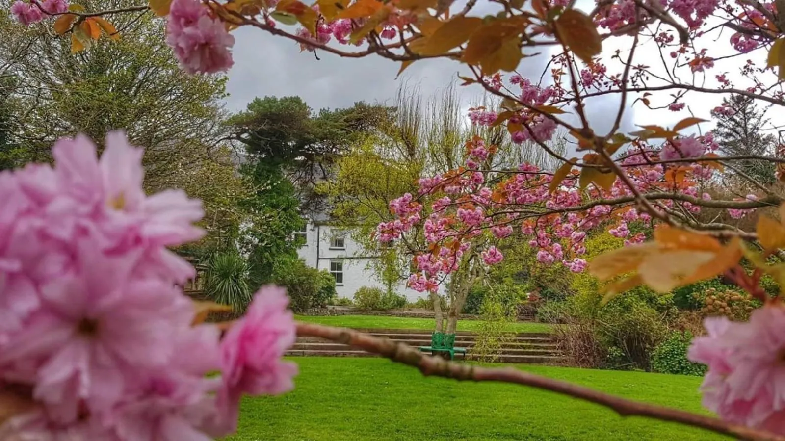 Garden view in The Glenbeigh Hotel