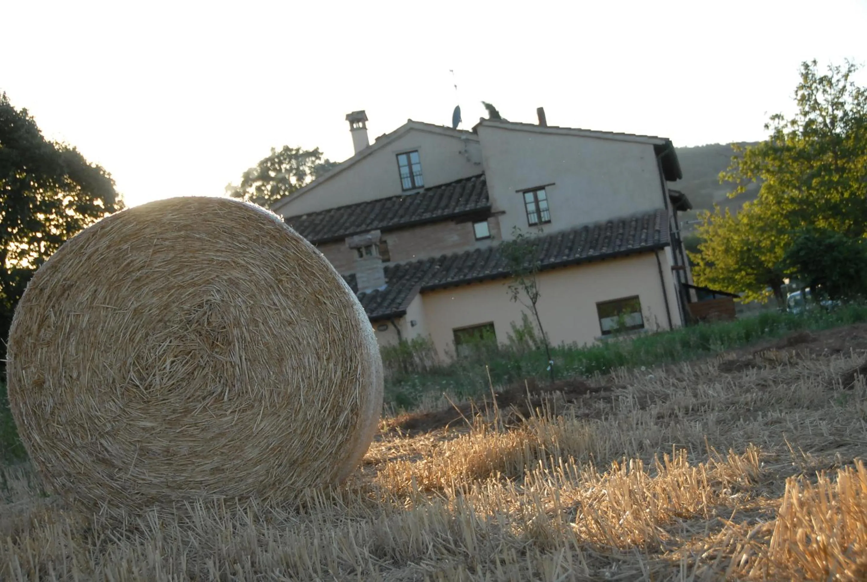 Street view in Molenda B&B