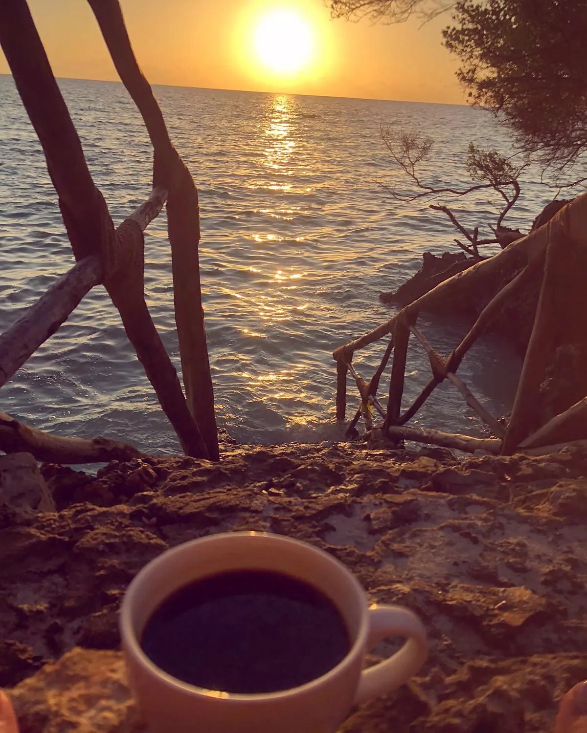 Beach in The Island - Pongwe Lodge