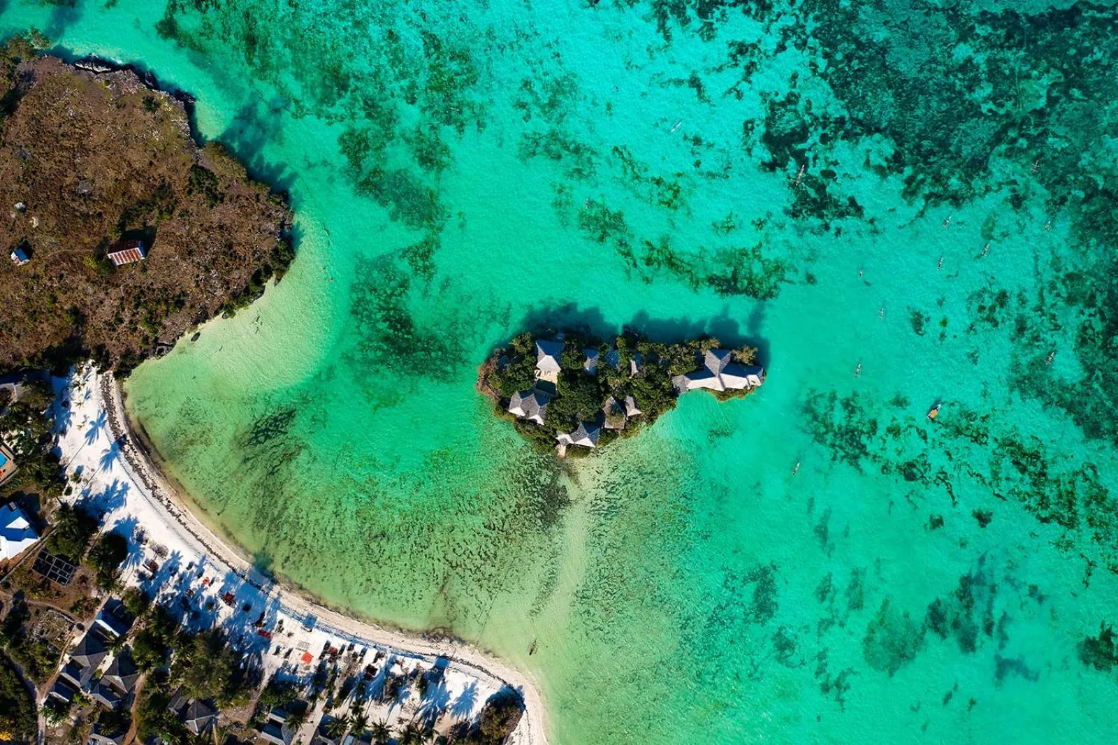 Property building in The Island - Pongwe Lodge