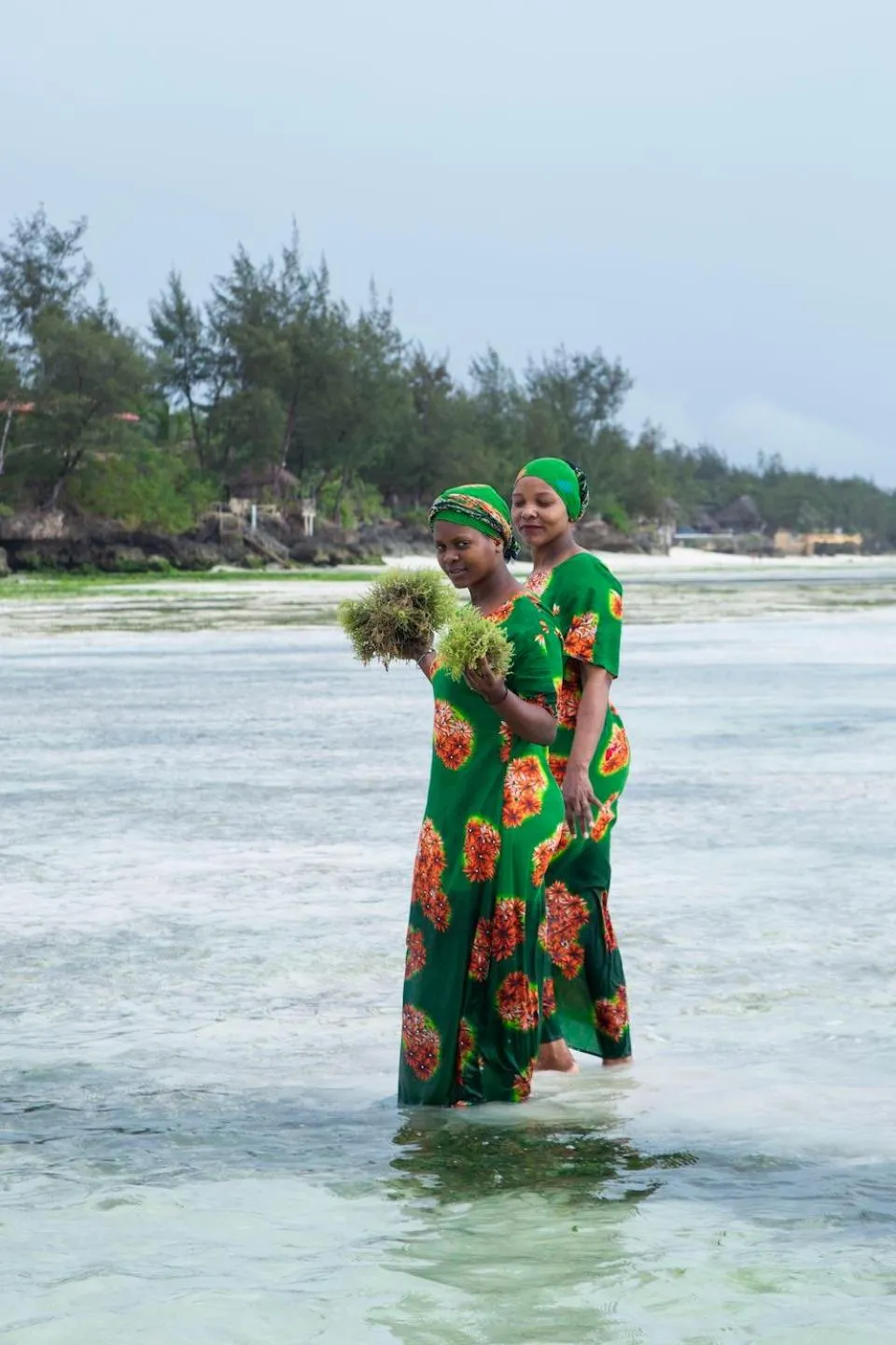 Beach in The Island - Pongwe Lodge