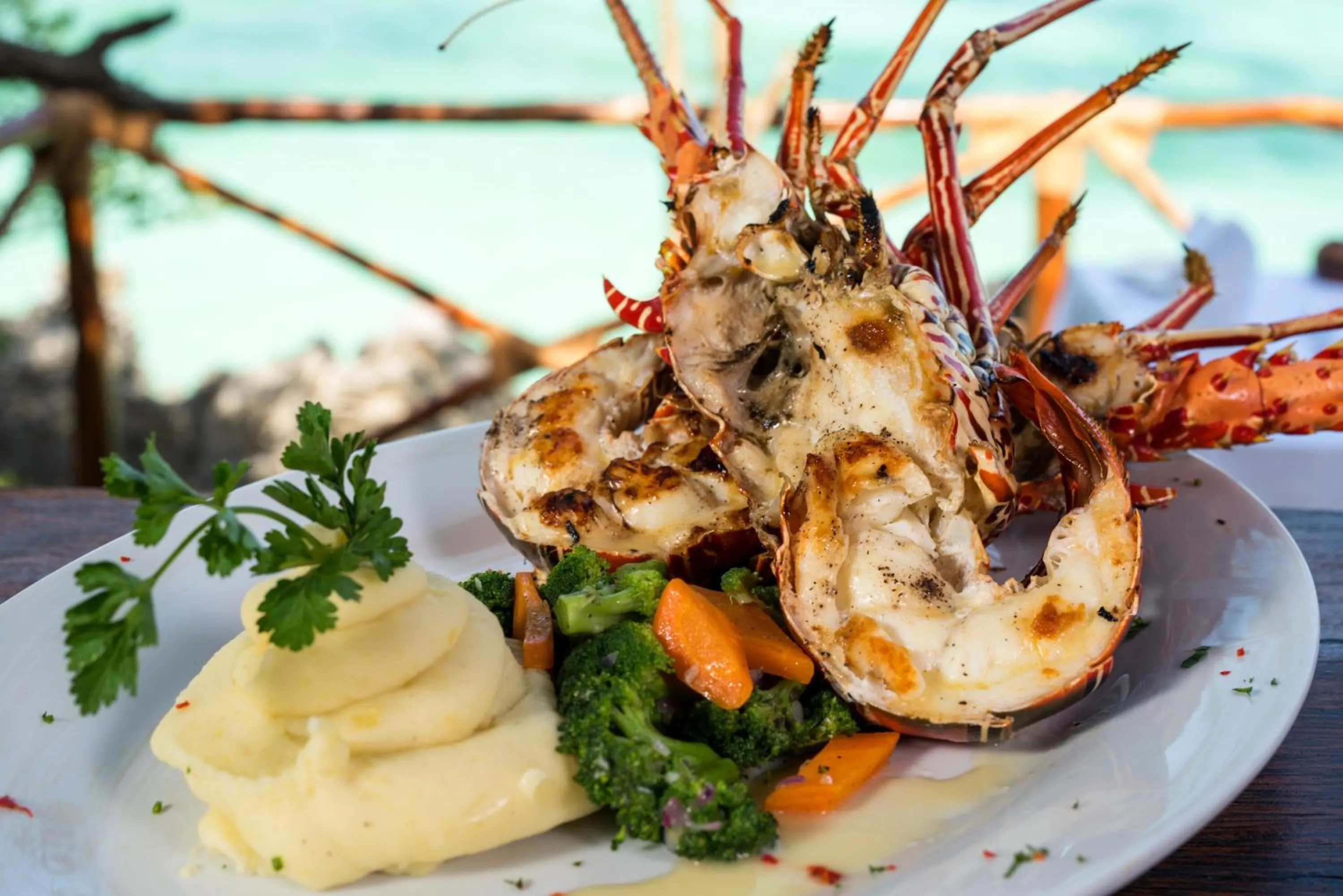 Food close-up in The Island - Pongwe Lodge