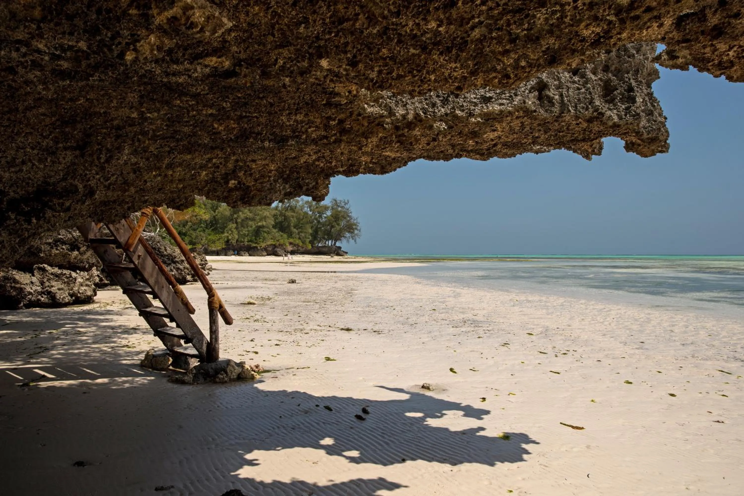 Natural landscape in The Island - Pongwe Lodge