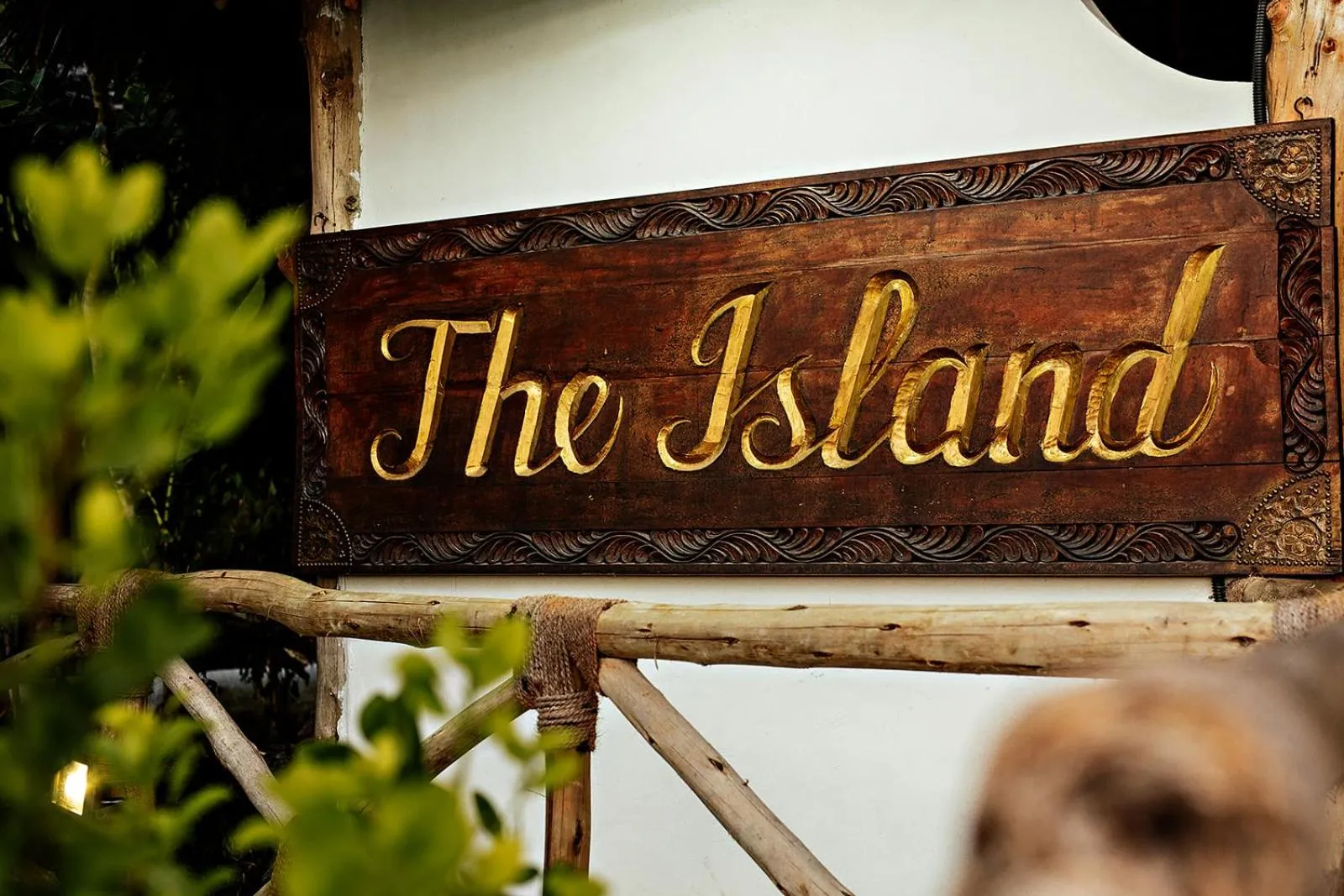 Logo/Certificate/Sign in The Island - Pongwe Lodge