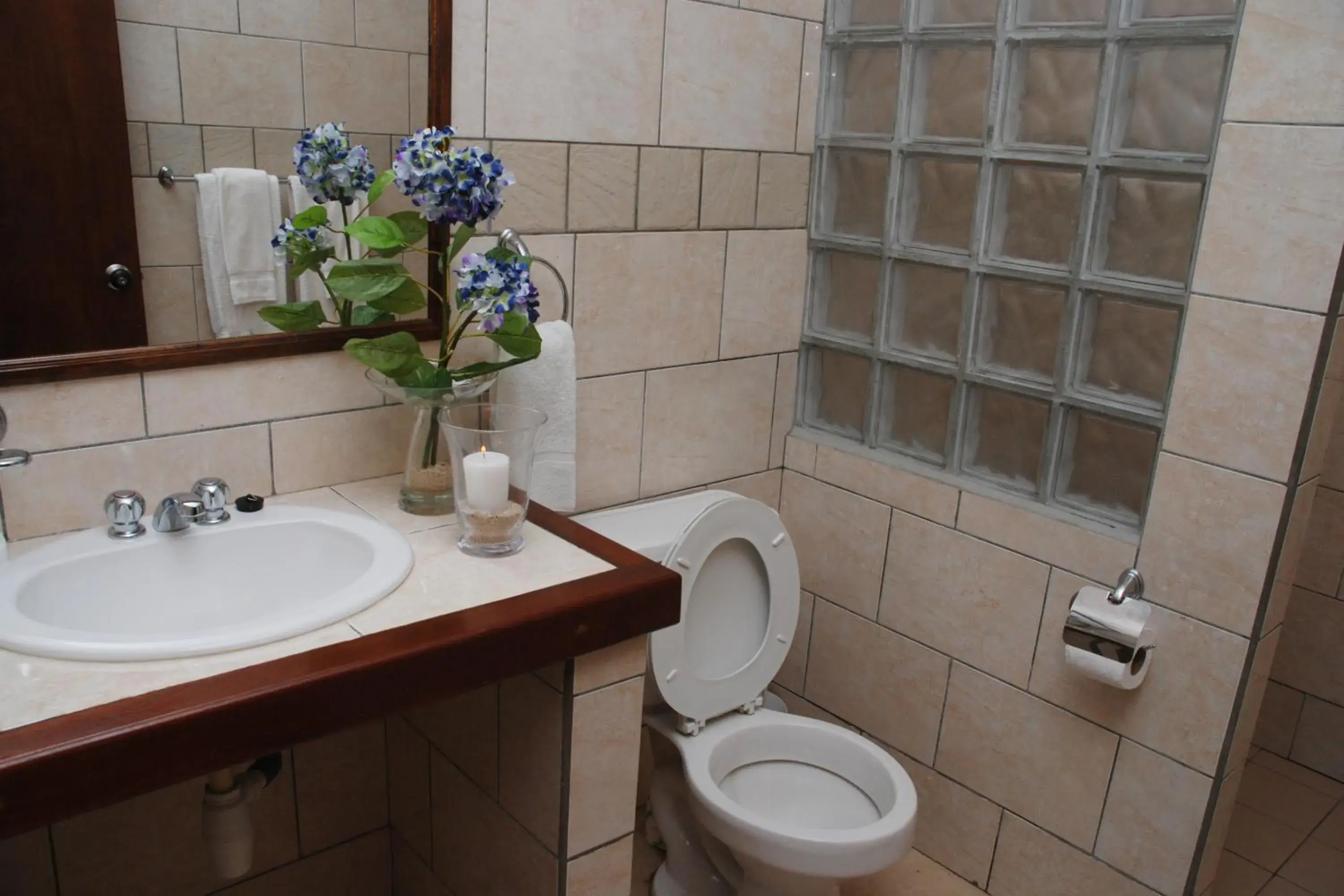 King Studio with Balcony in Eden Beach Resort - Bonaire King Studio with Balcony in Eden Beach Resort - Bonaire