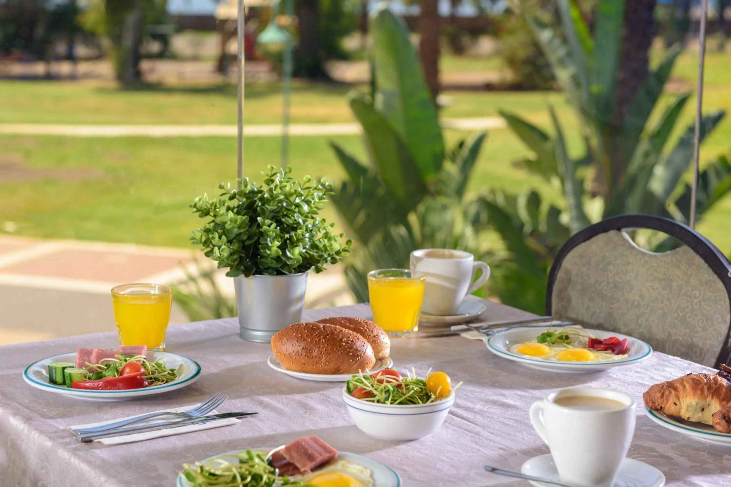 Food in Kinar Galilee