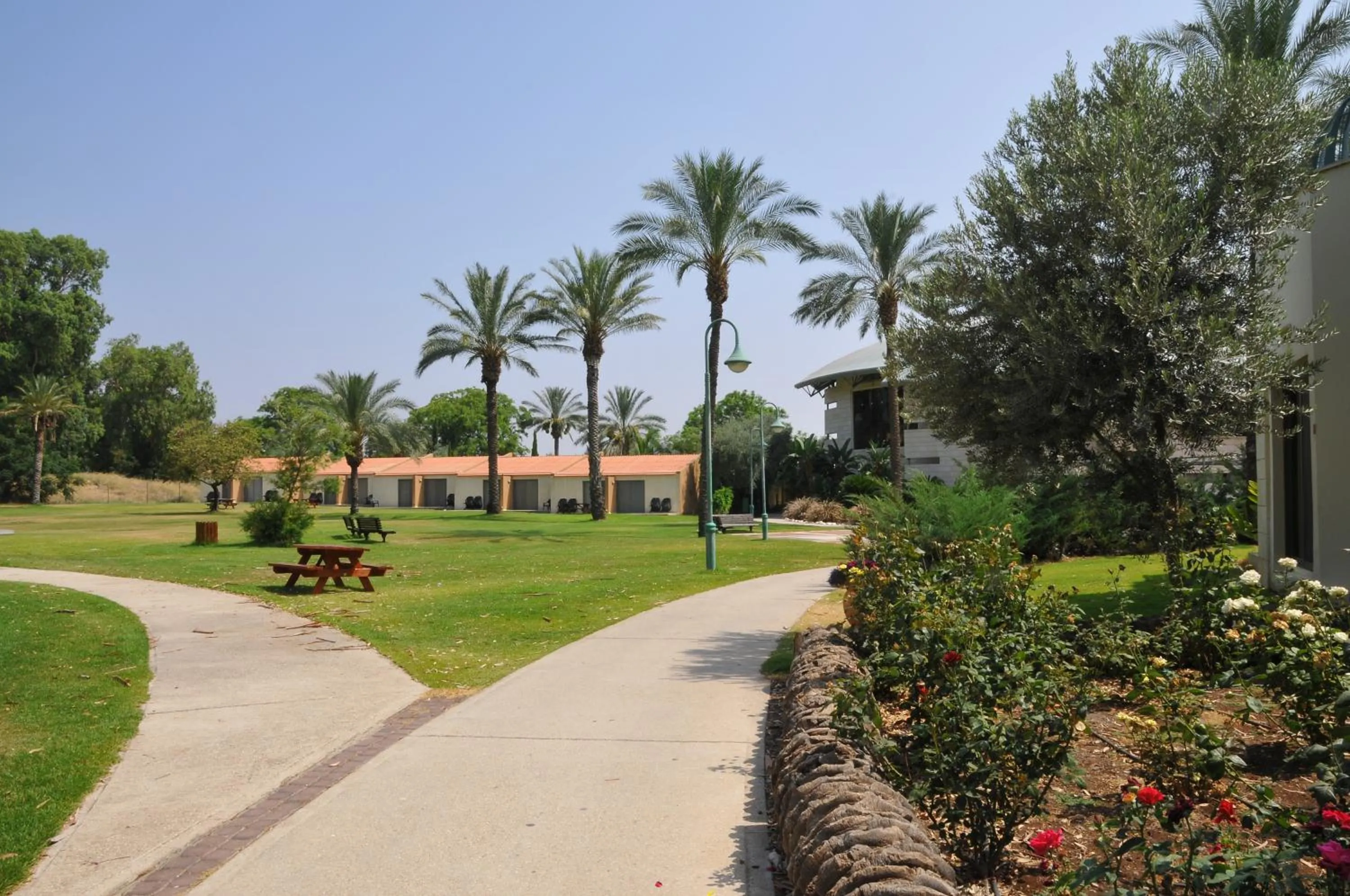 Garden in Kinar Galilee