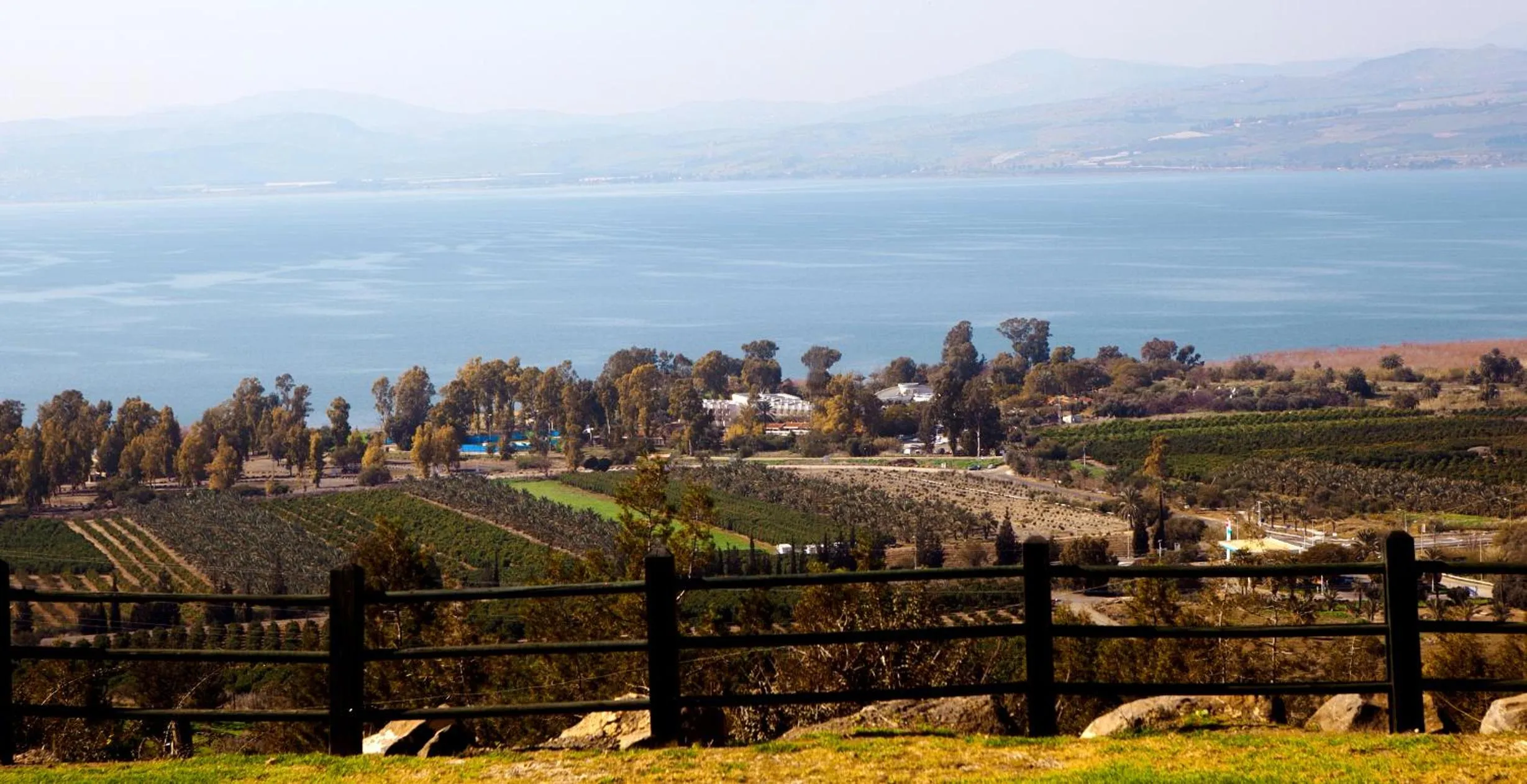 Other in Kinar Galilee