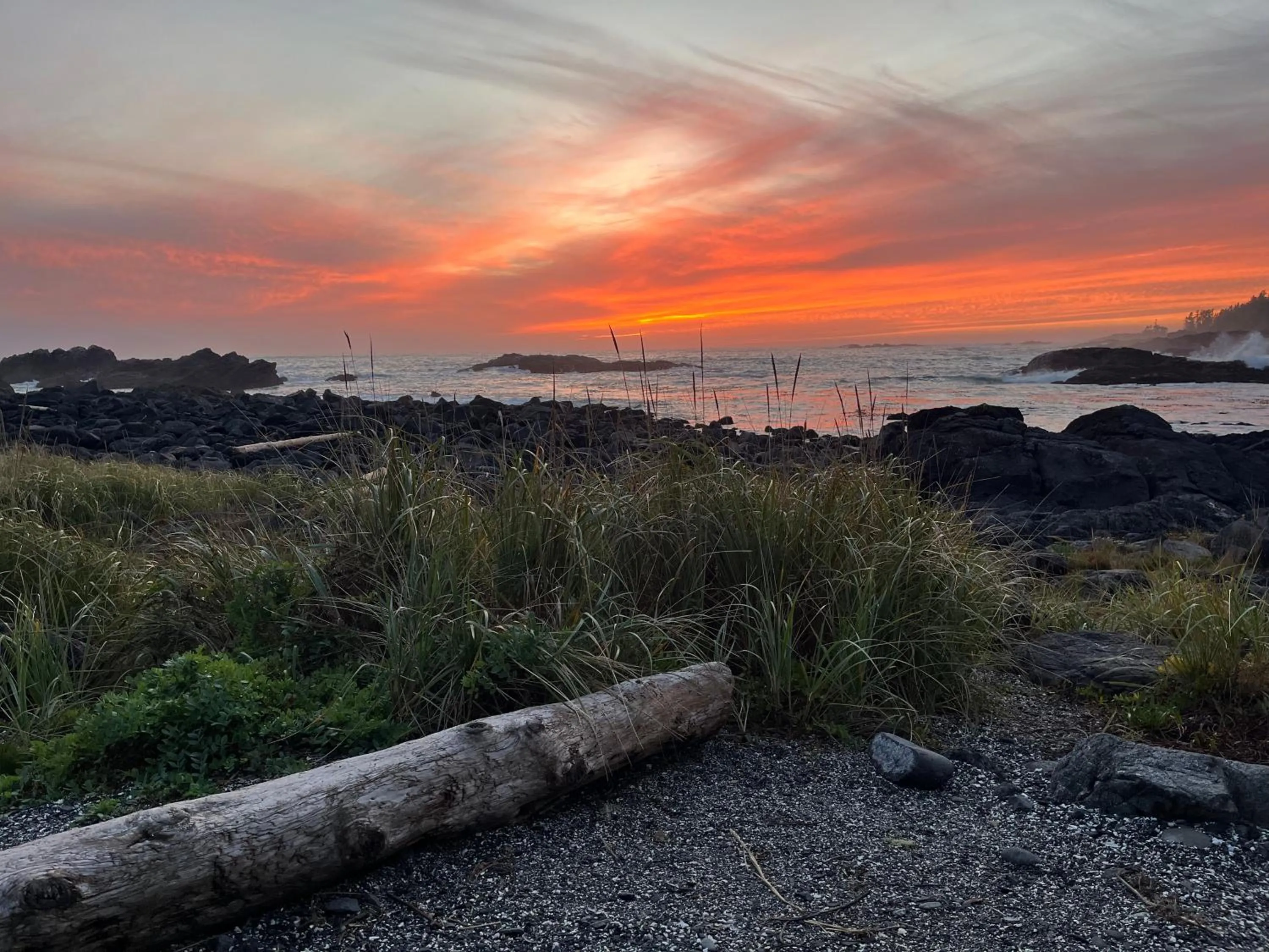 Neighbourhood in Hyphocus Inn