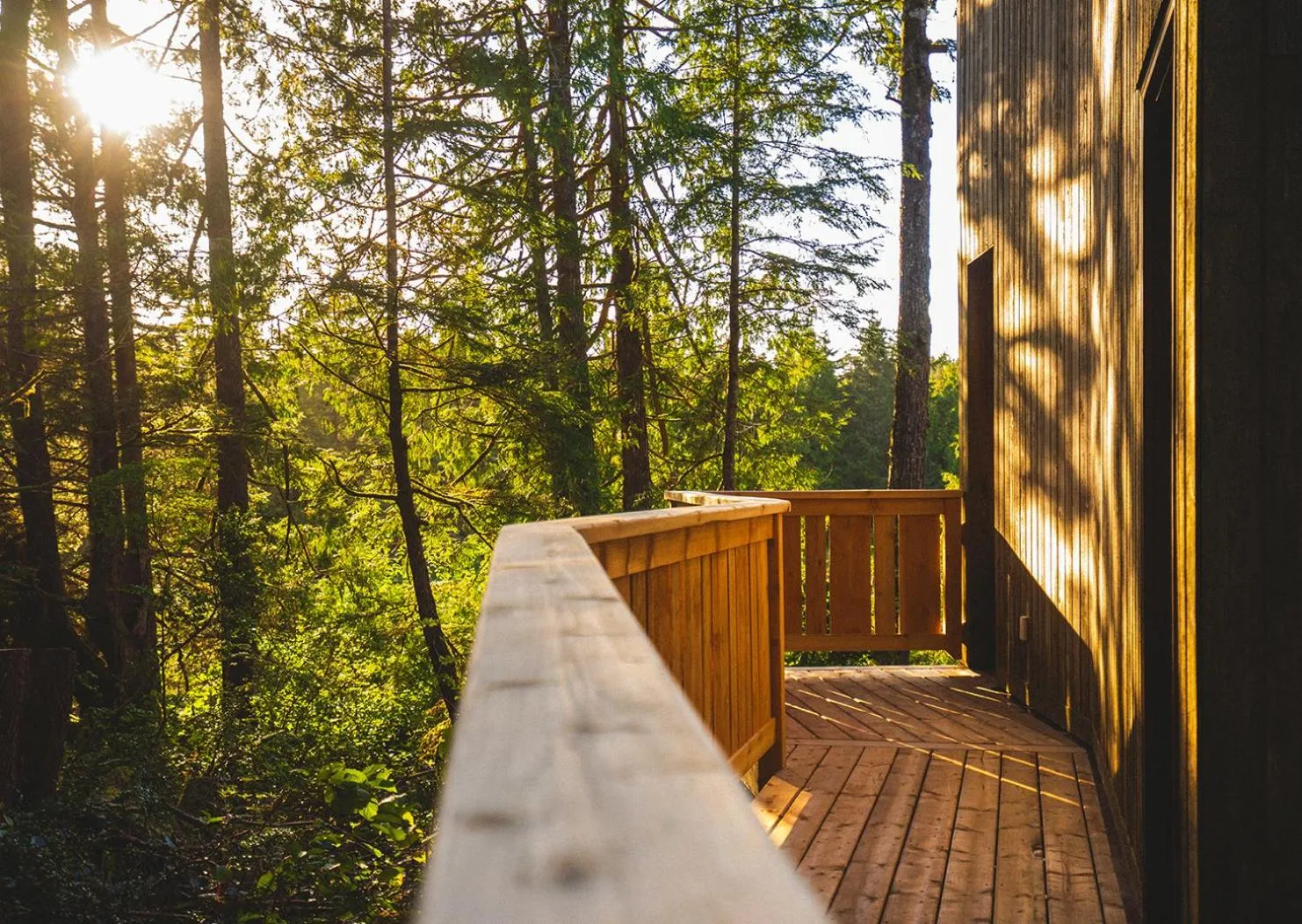 Property building in Hyphocus Inn