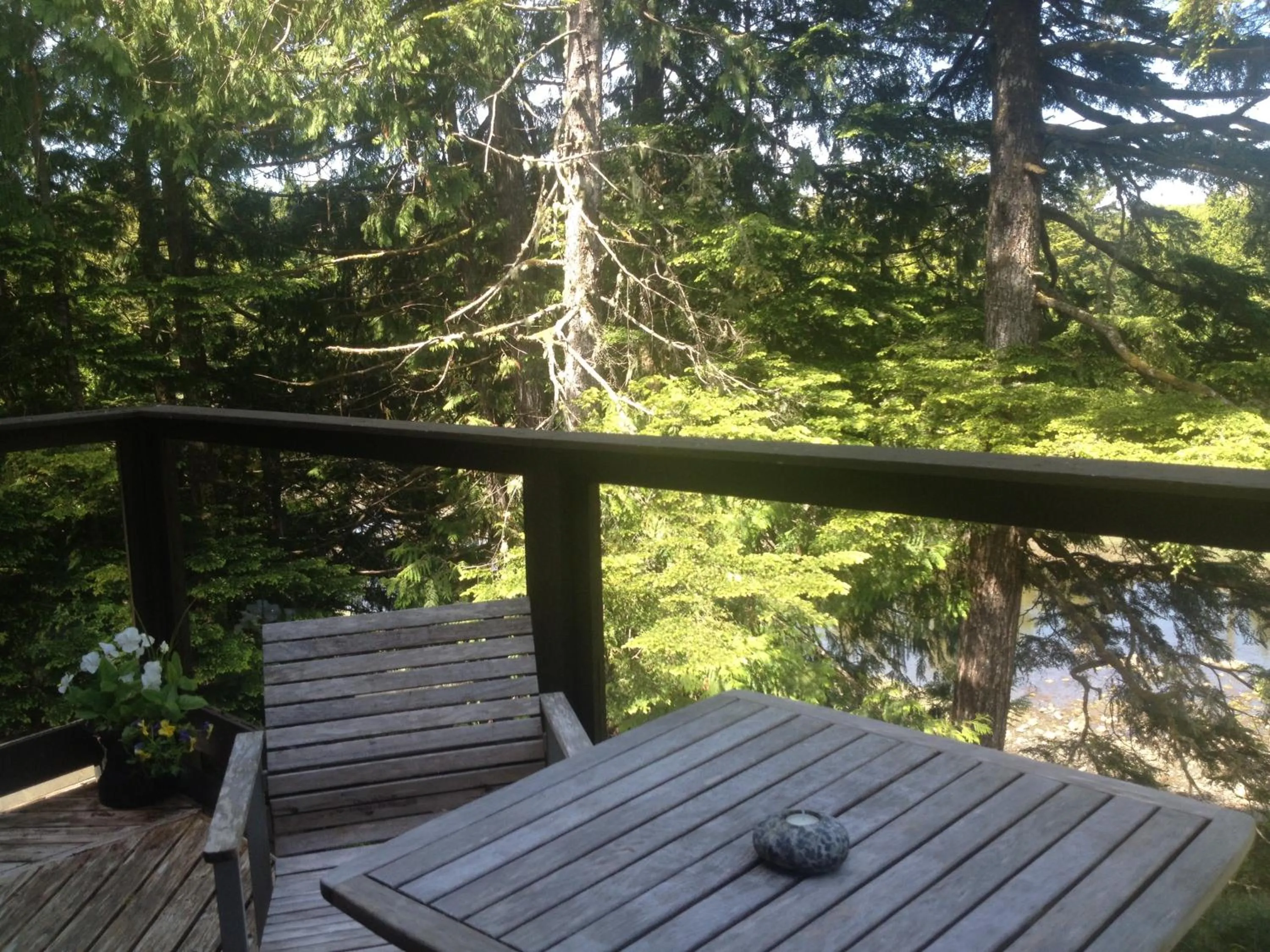 Natural landscape in Hyphocus Inn