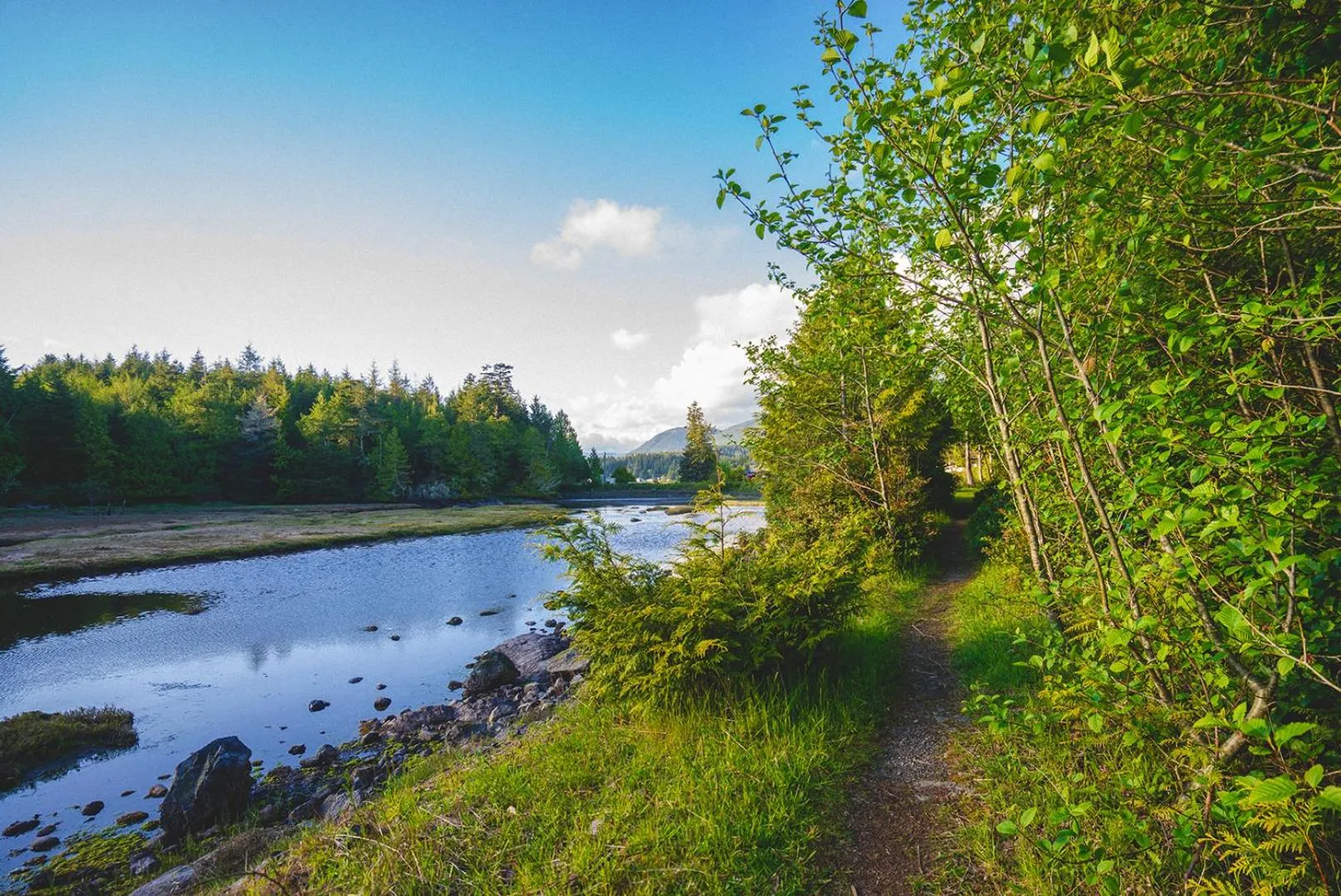 Neighbourhood in Hyphocus Inn