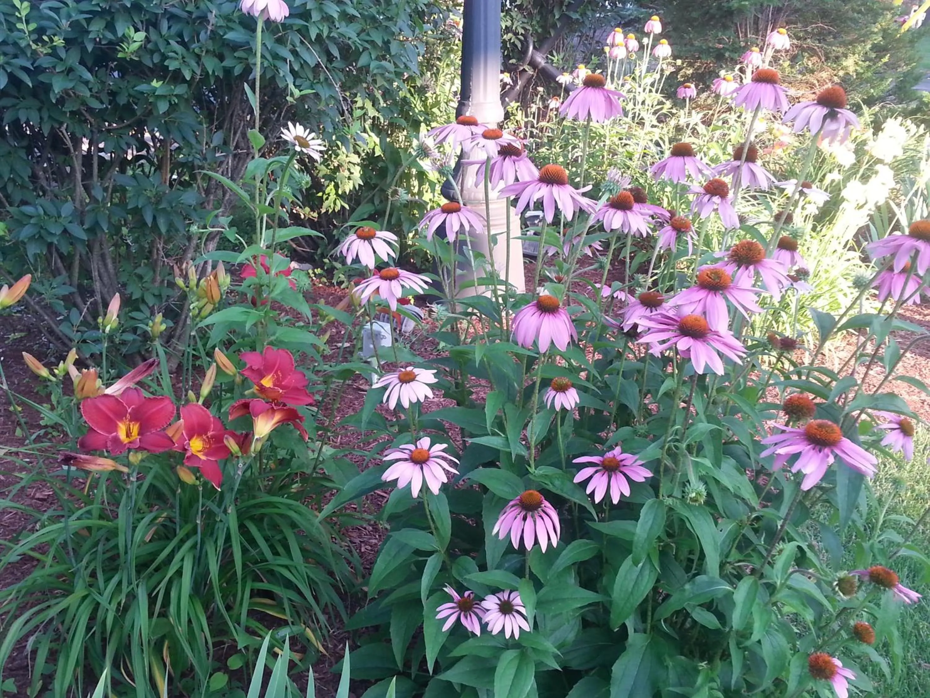Garden in The Inn At Lock Seven