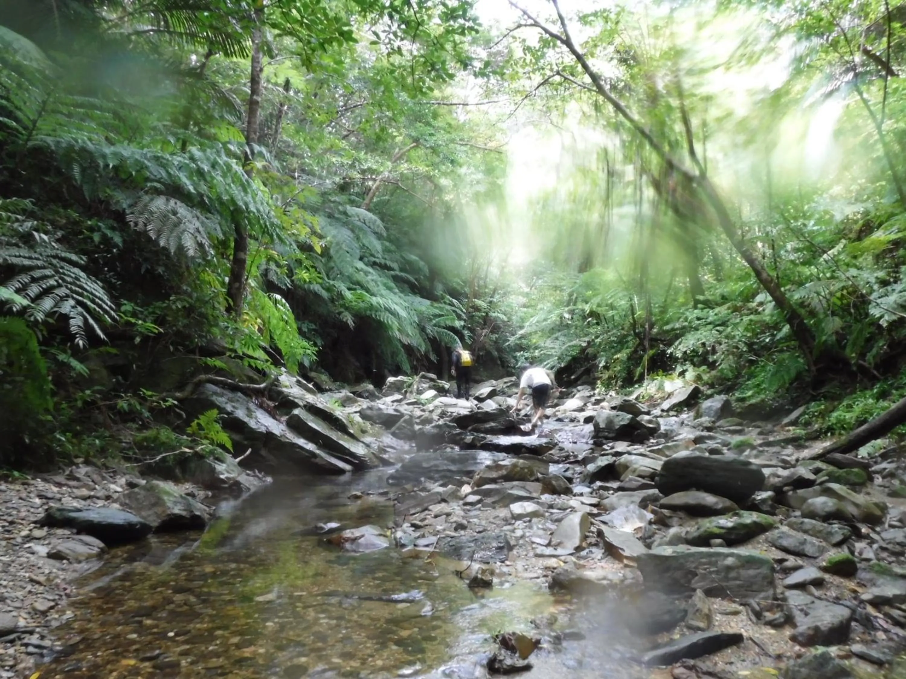Hiking in Okinawa Hostel Yanbaru Fukuro