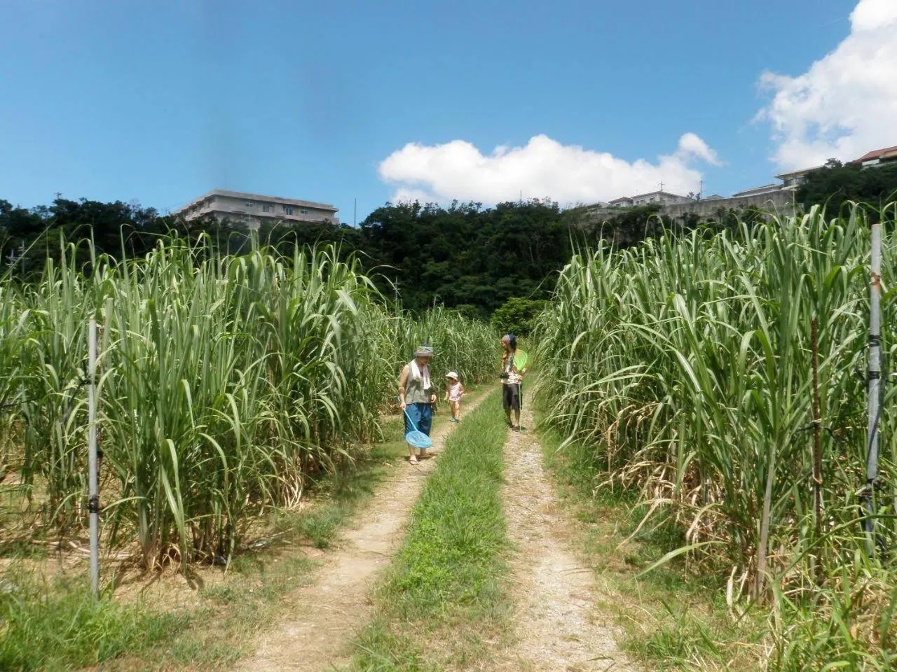 Off site in Okinawa Hostel Yanbaru Fukuro