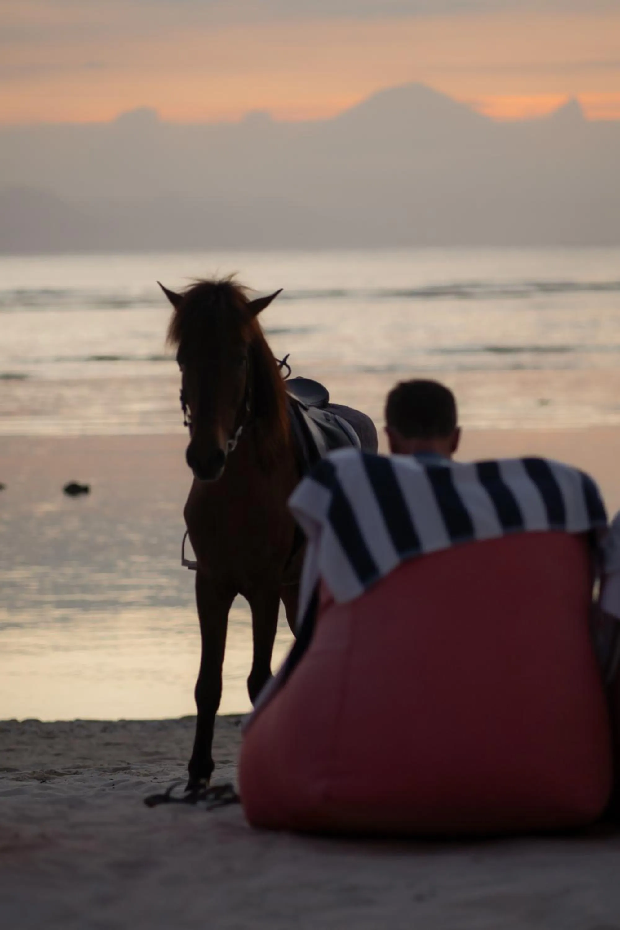 Activities in Ombak Sunset