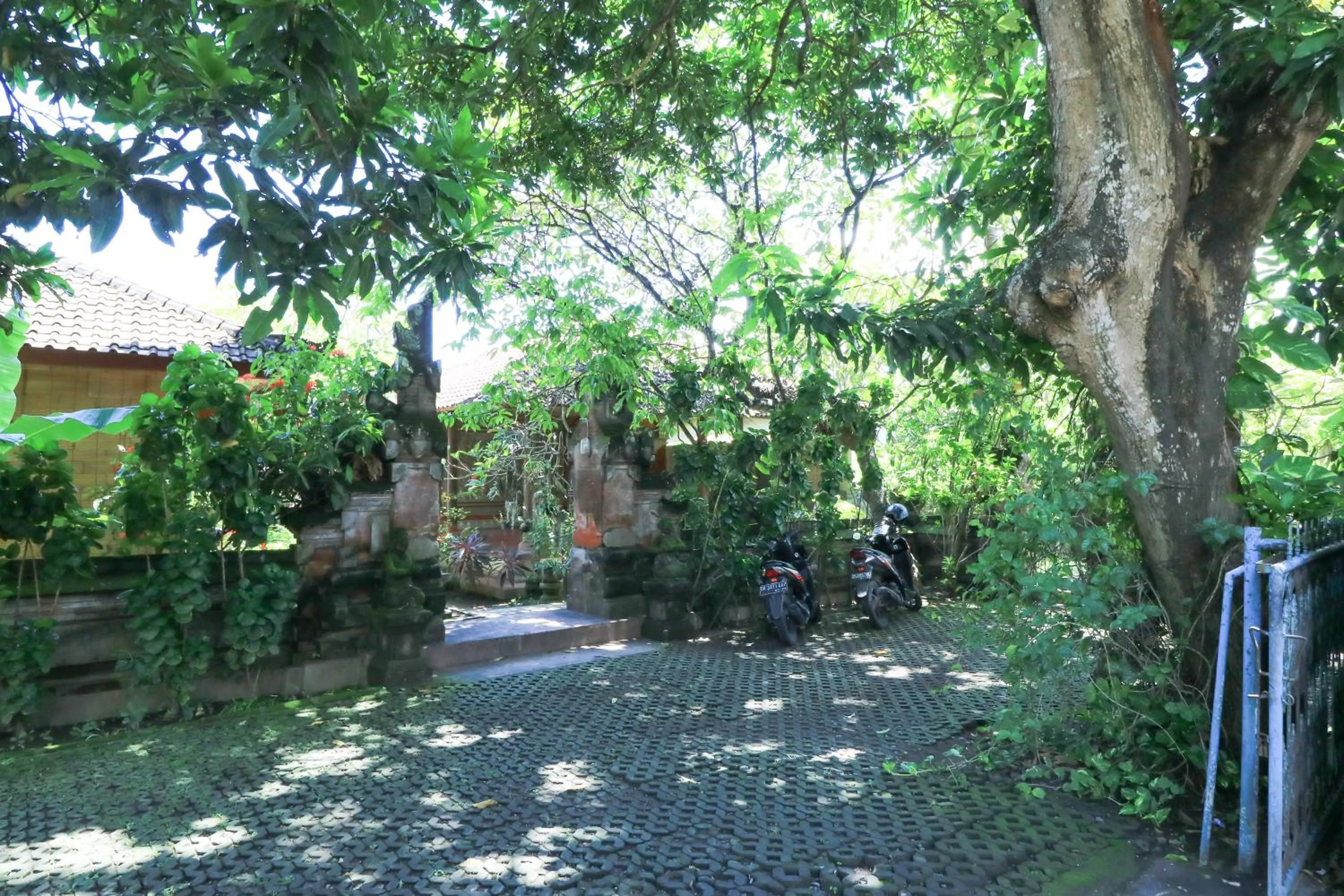 Garden in Mertha Jati Hotel