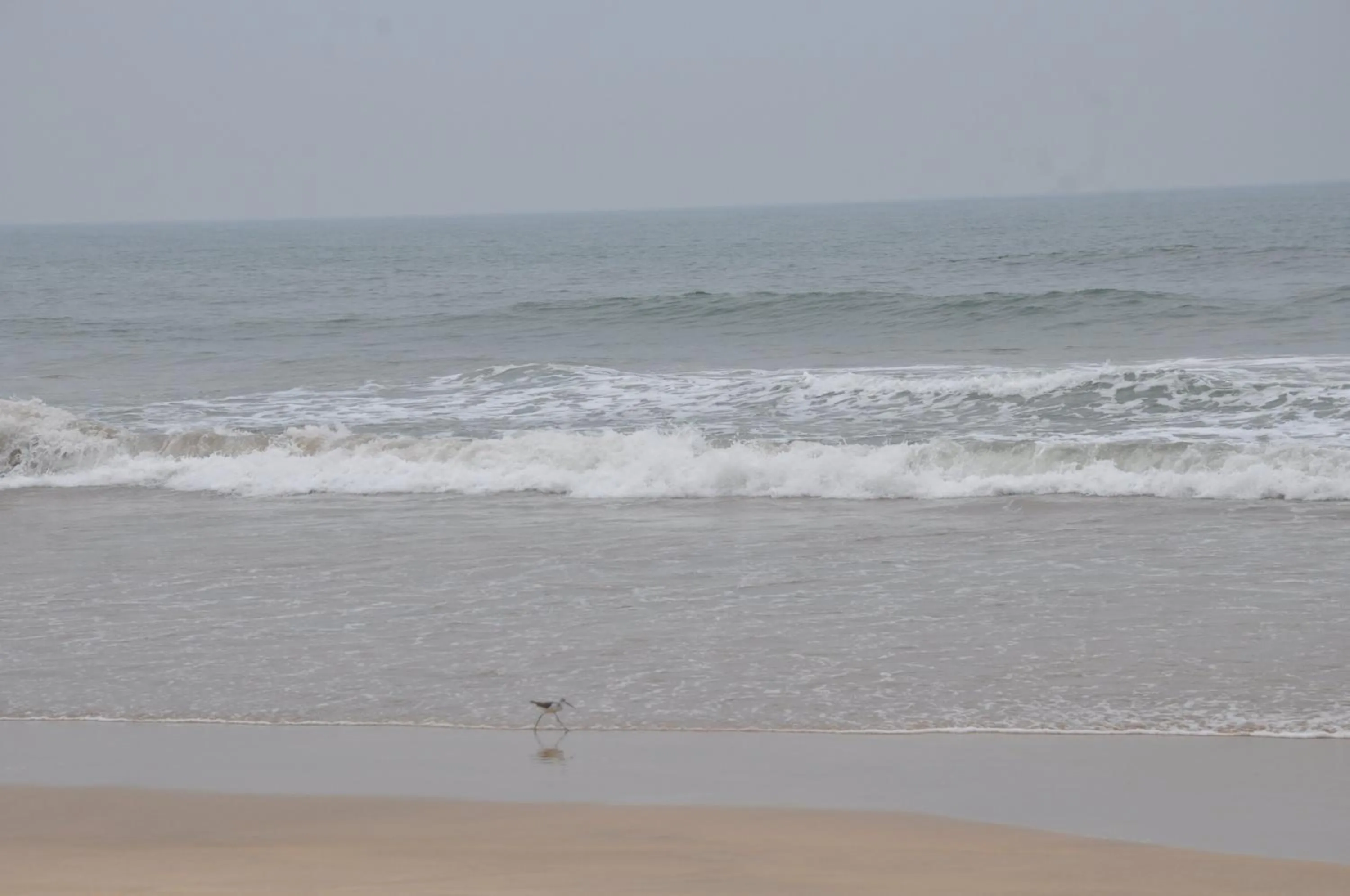 Beach in Hotel Grand Ganesha