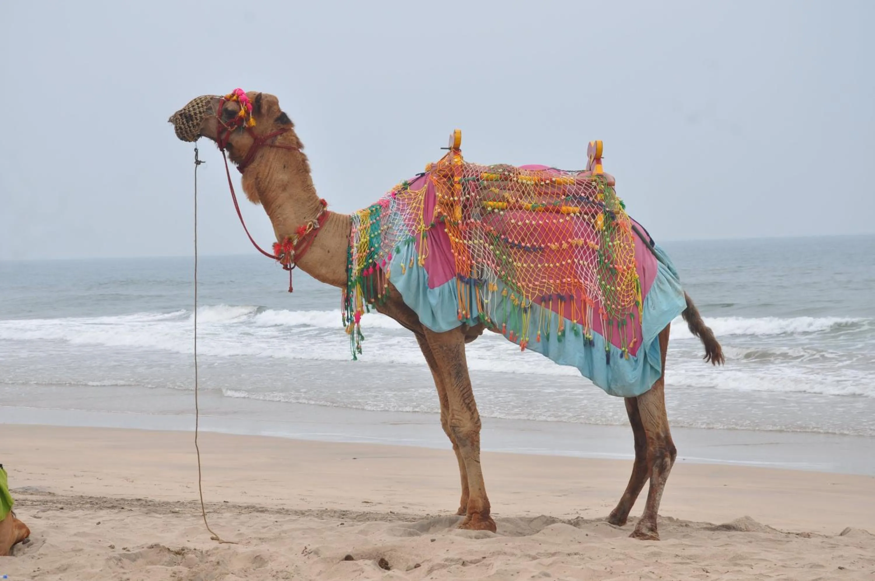 Off site in Hotel Grand Ganesha