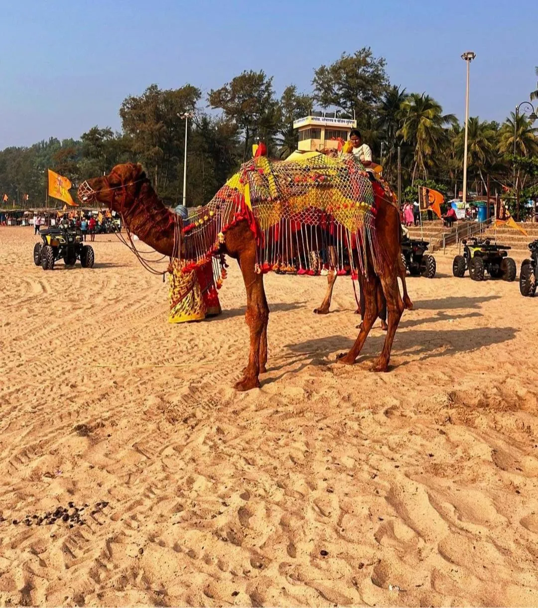 Beach in Hotel Grand Ganesha