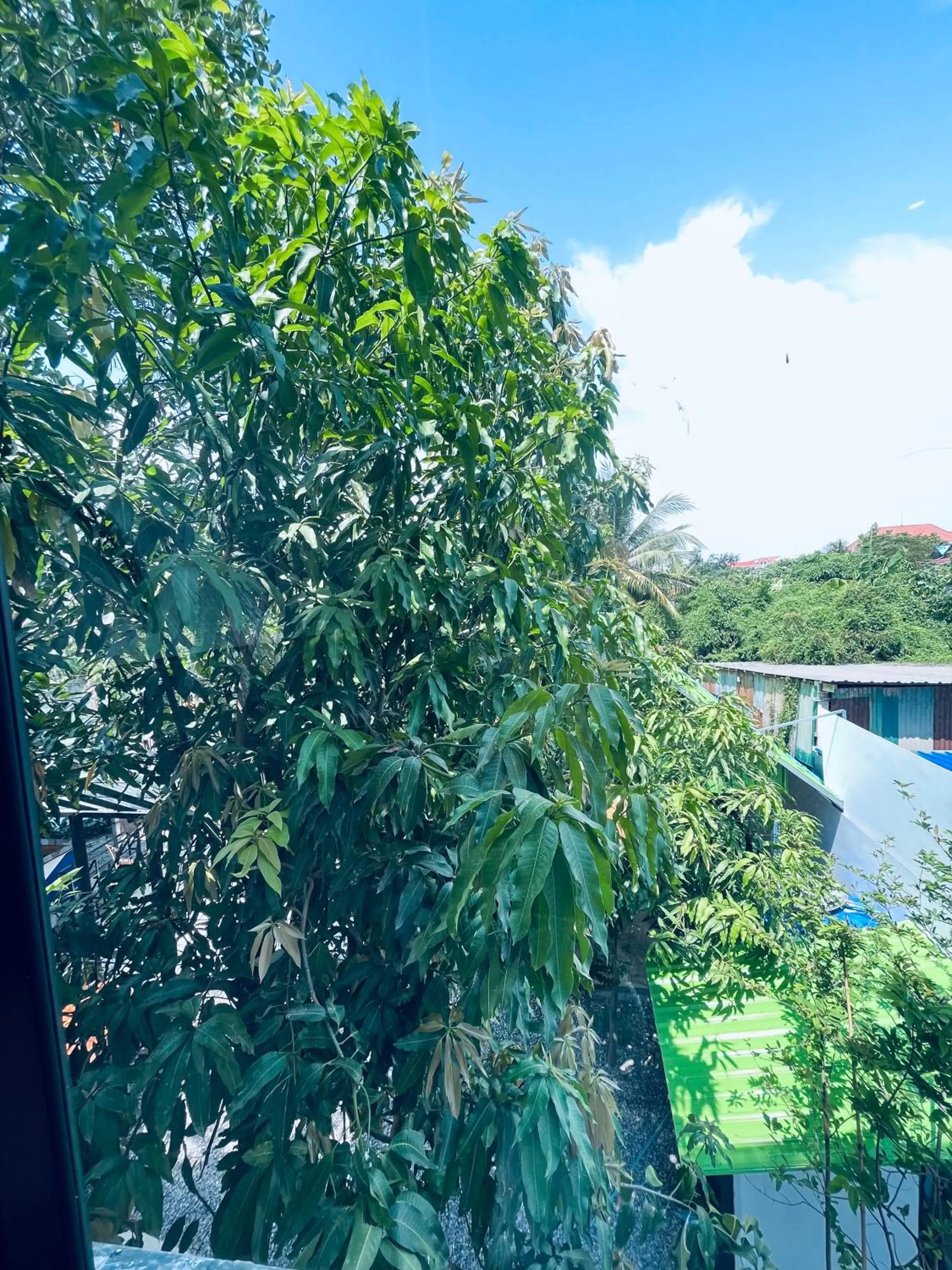 Natural landscape in Por Chey