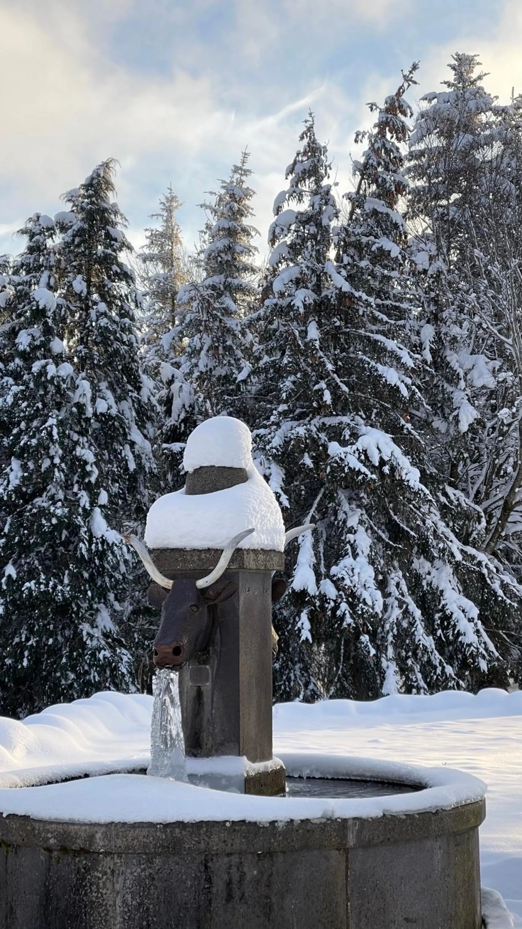 Natural landscape in Auberge du Cezallier