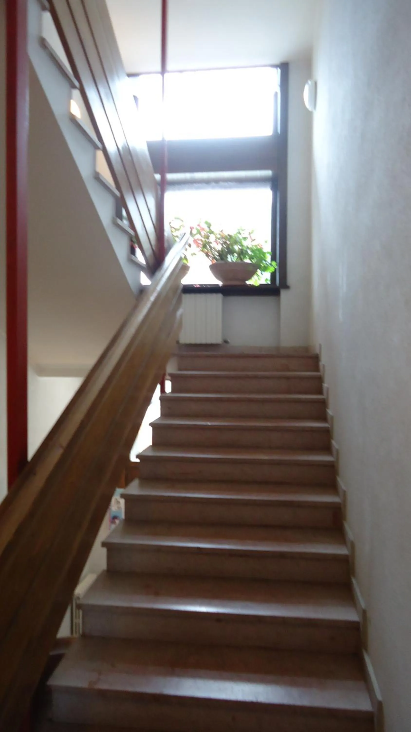 Day in Residence Regina Delle Dolomiti