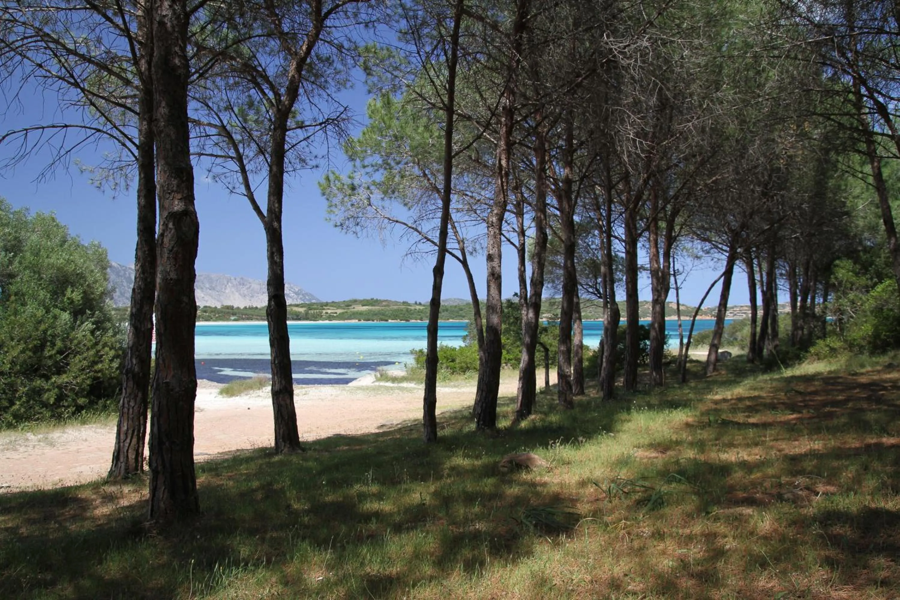 Nearby landmark in Hotel Lu Pitrali