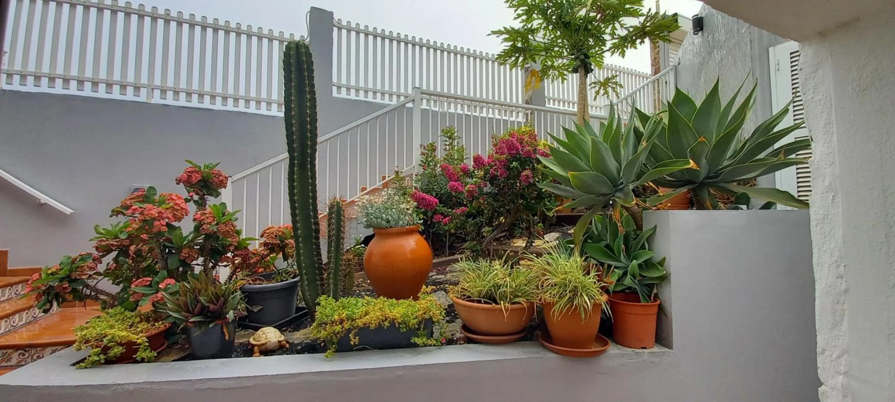 Facade/entrance in VillaFonzie Adults Only Gayfriendly