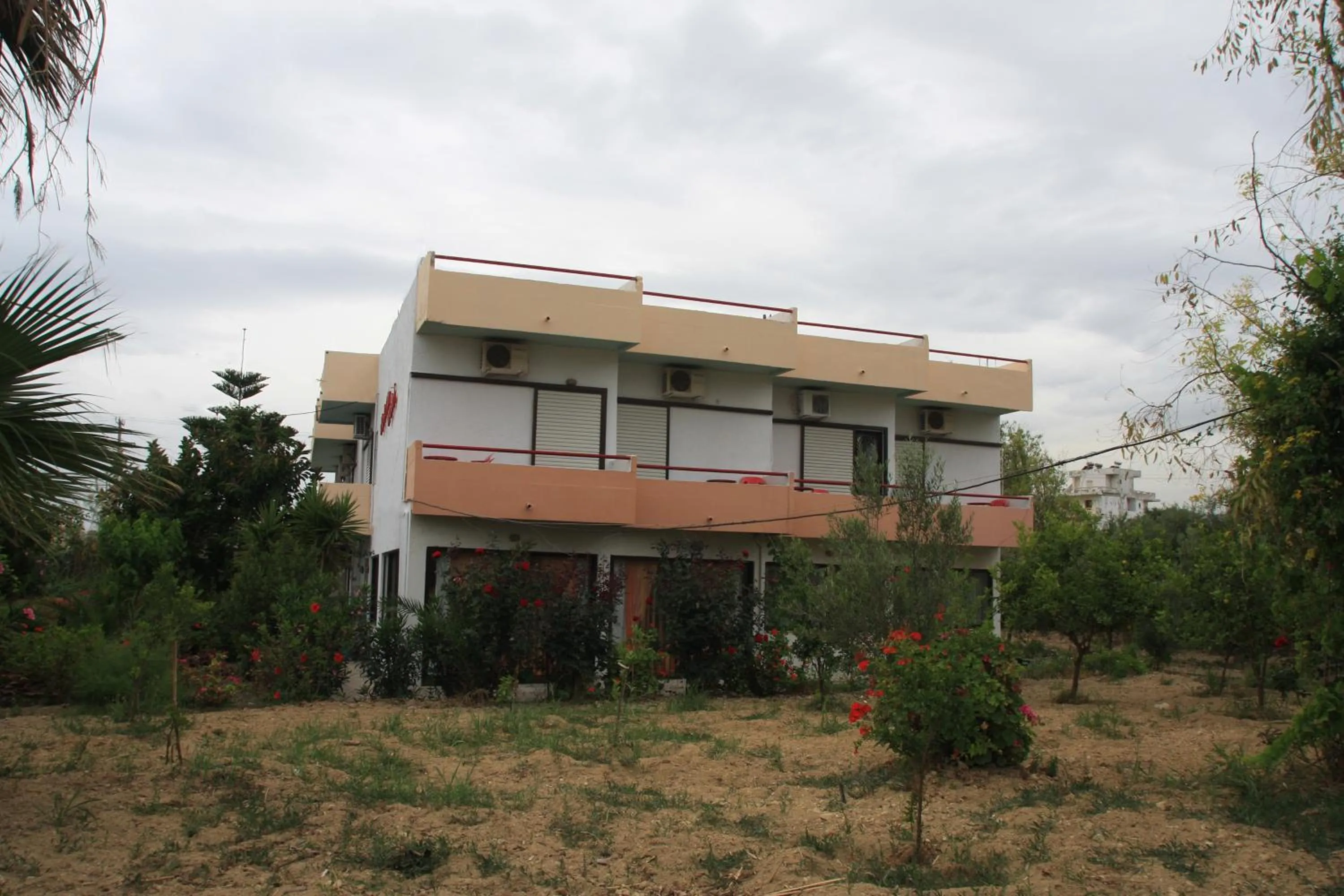 View (from property/room) in Violetta Hotel