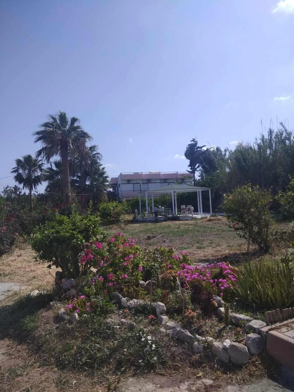 Garden in Violetta Hotel