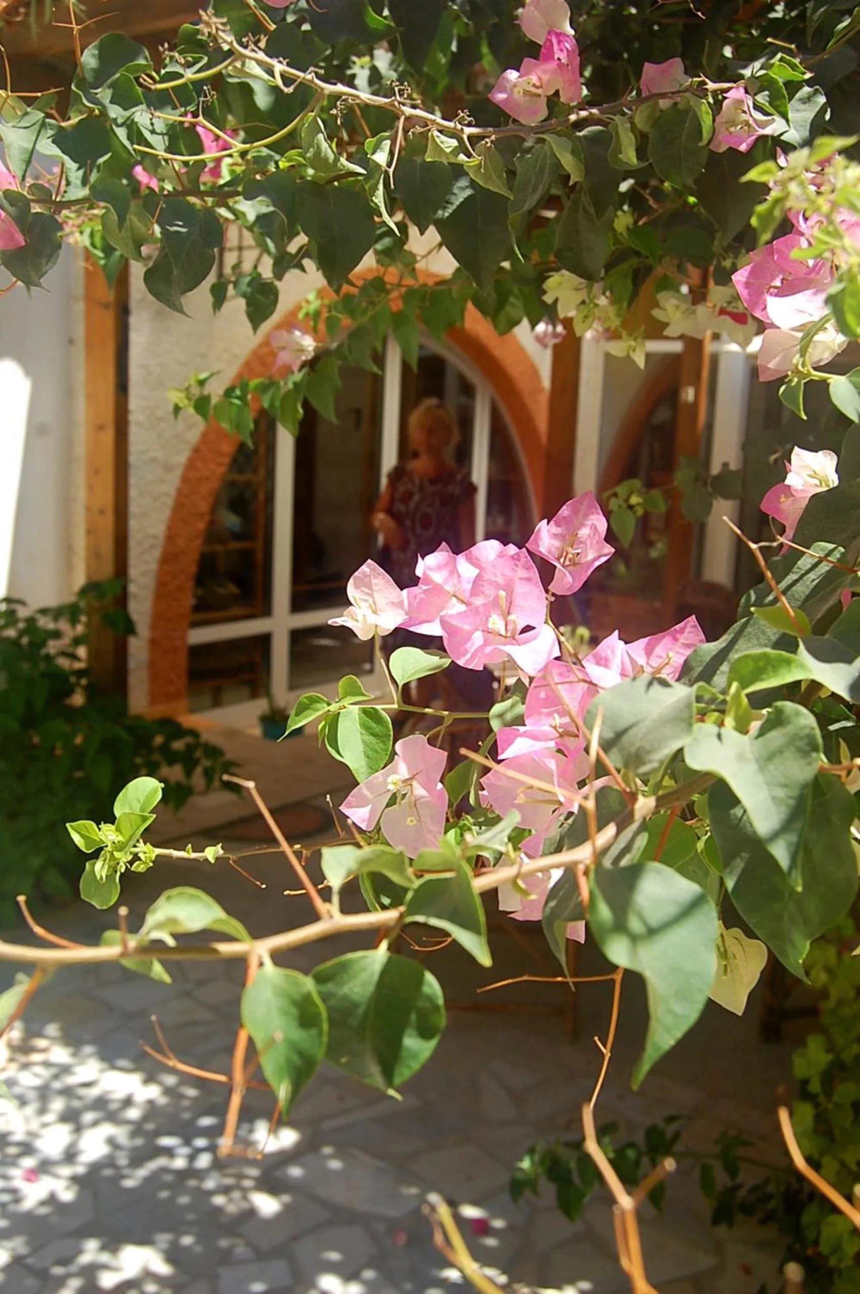 Food and drinks in Violetta Hotel