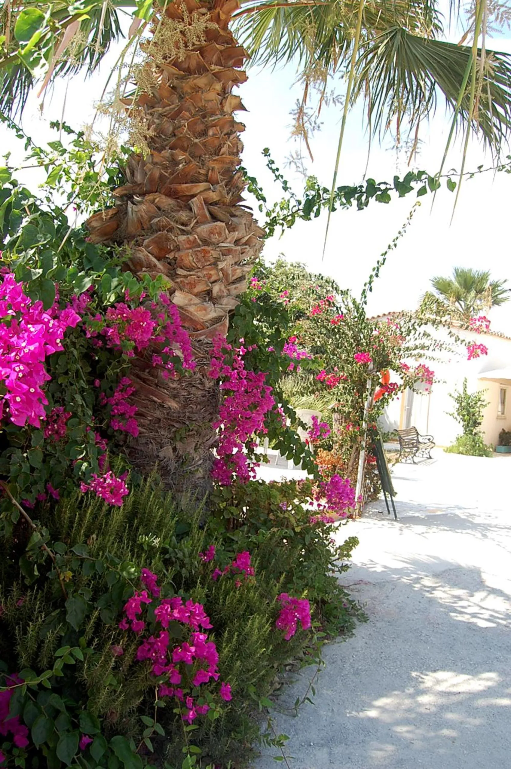 Day in Violetta Hotel