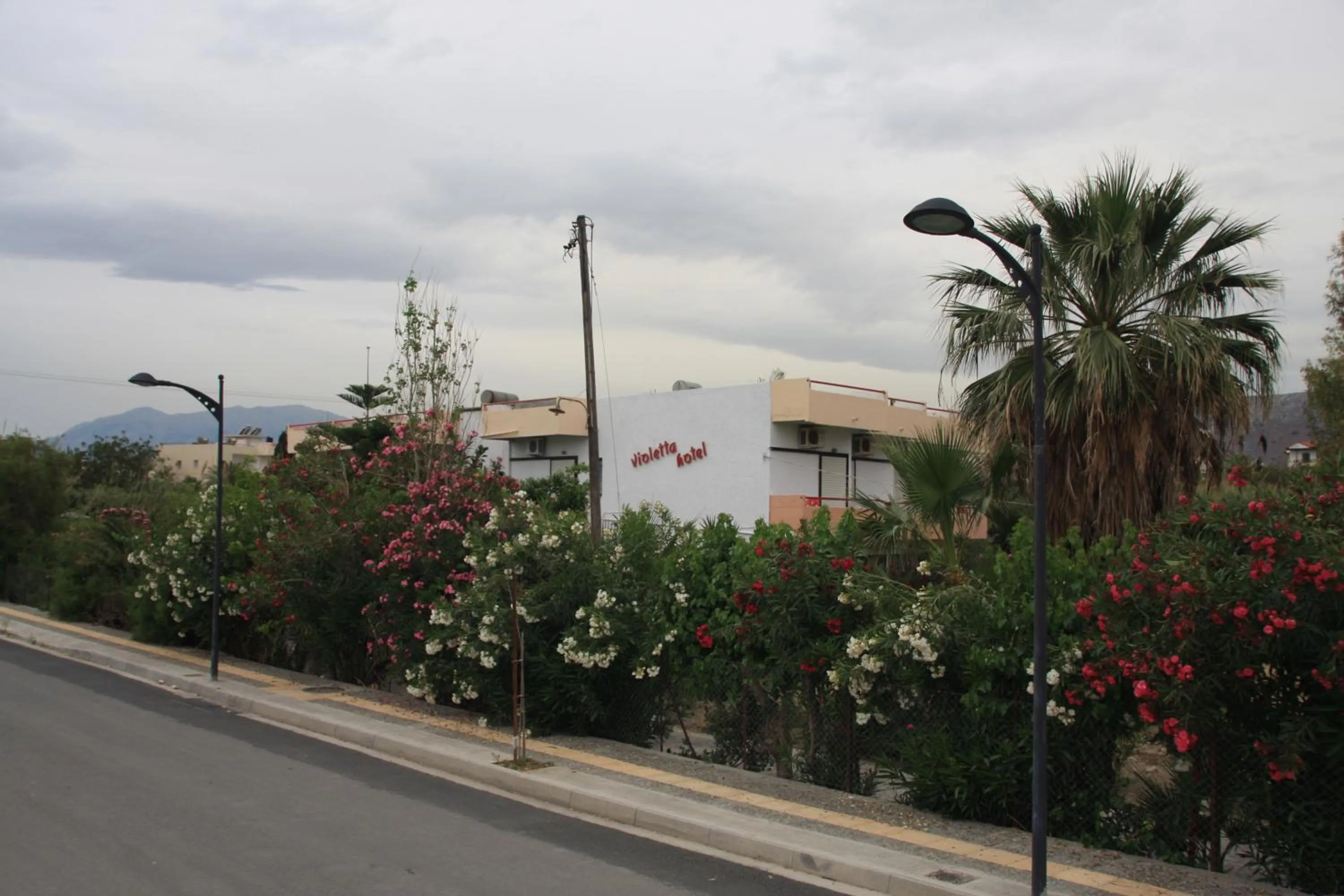 Property building in Violetta Hotel